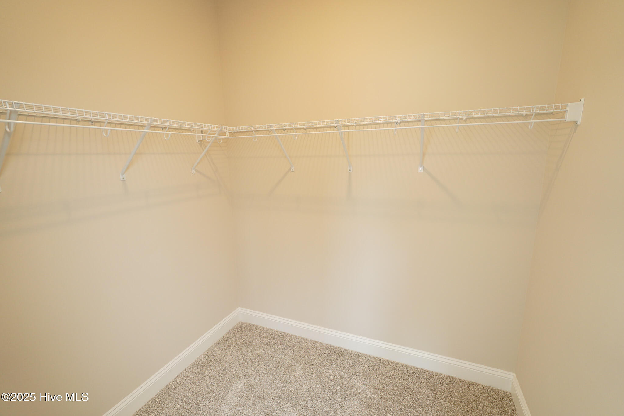 100488193 | Photo 21