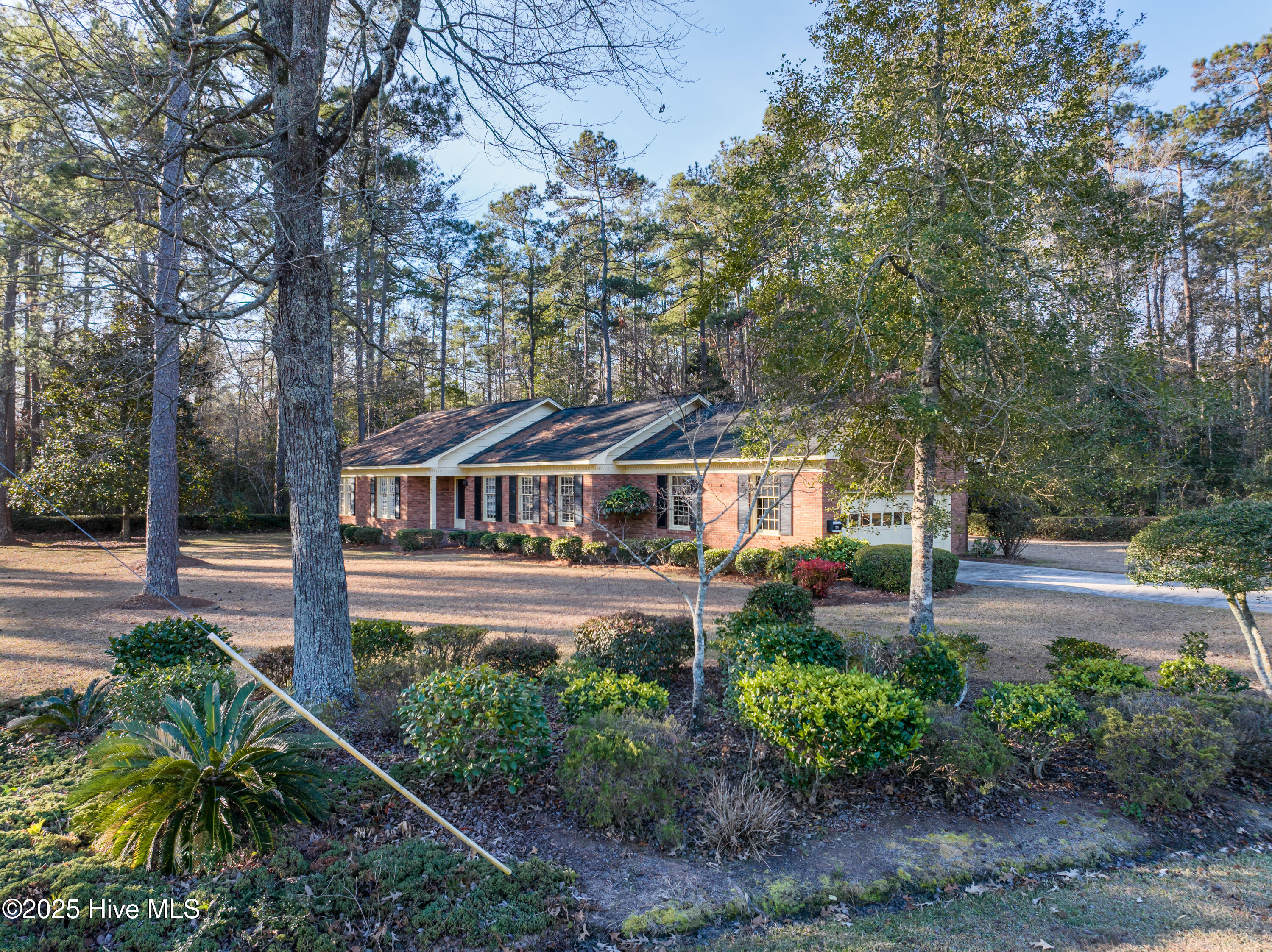 100484666 | Photo 29