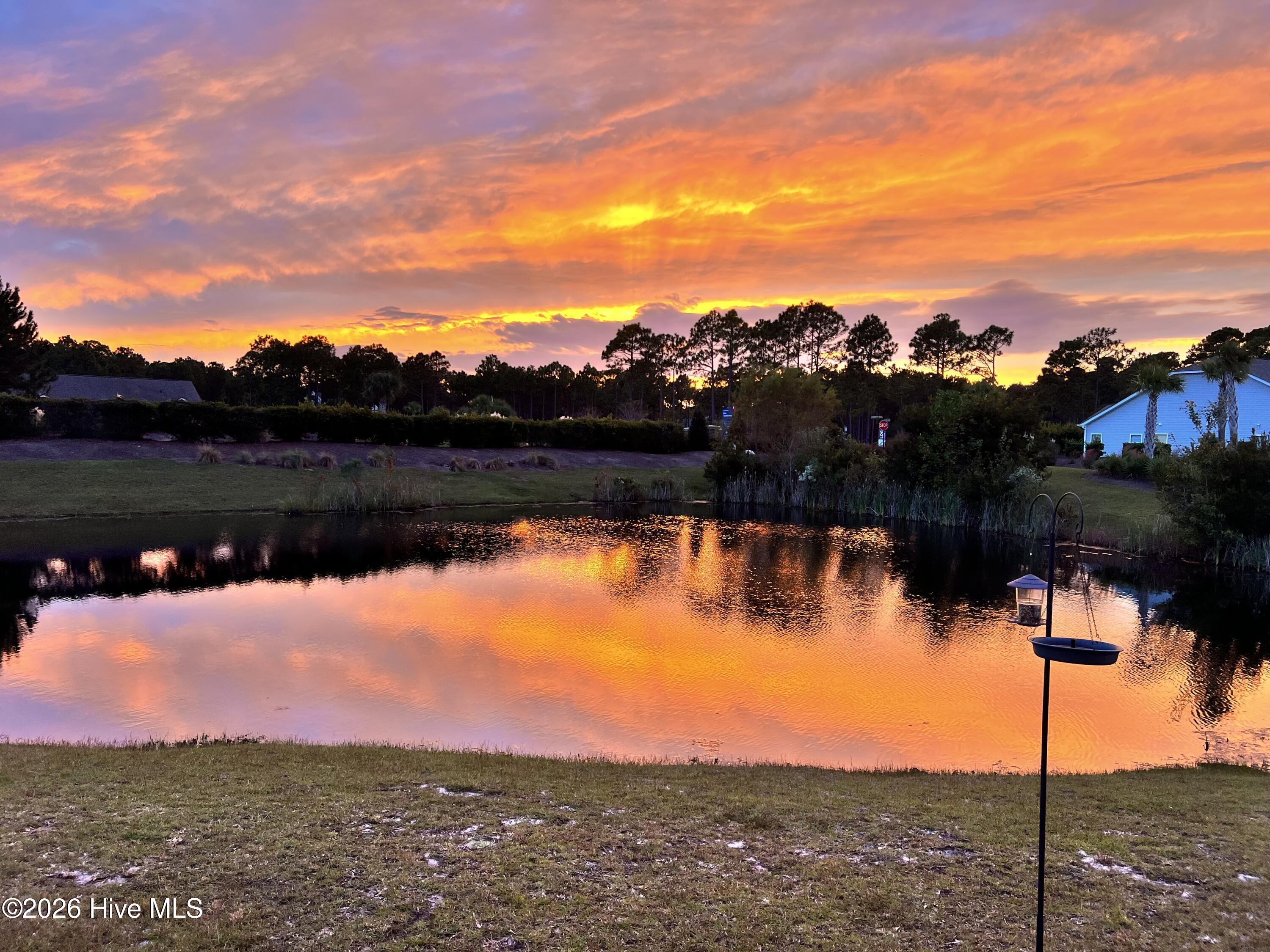 100553635 | Photo 29