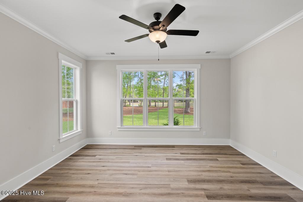 100535859 | Photo 19