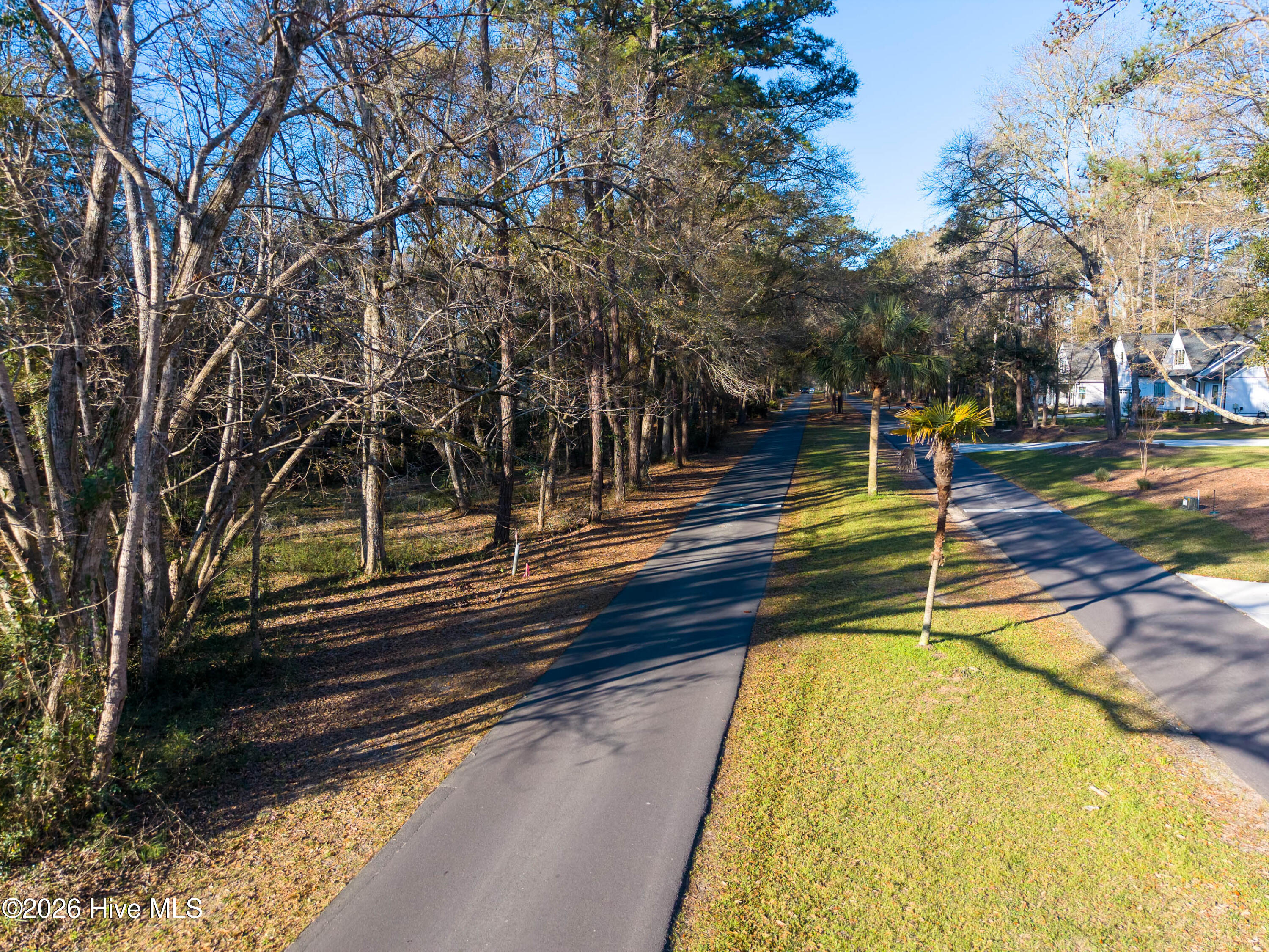 100562010 | Photo 11