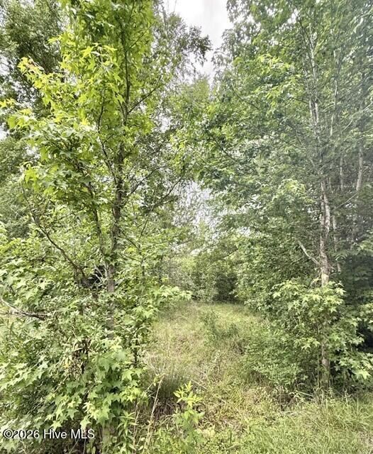 Listing Photo 100576597