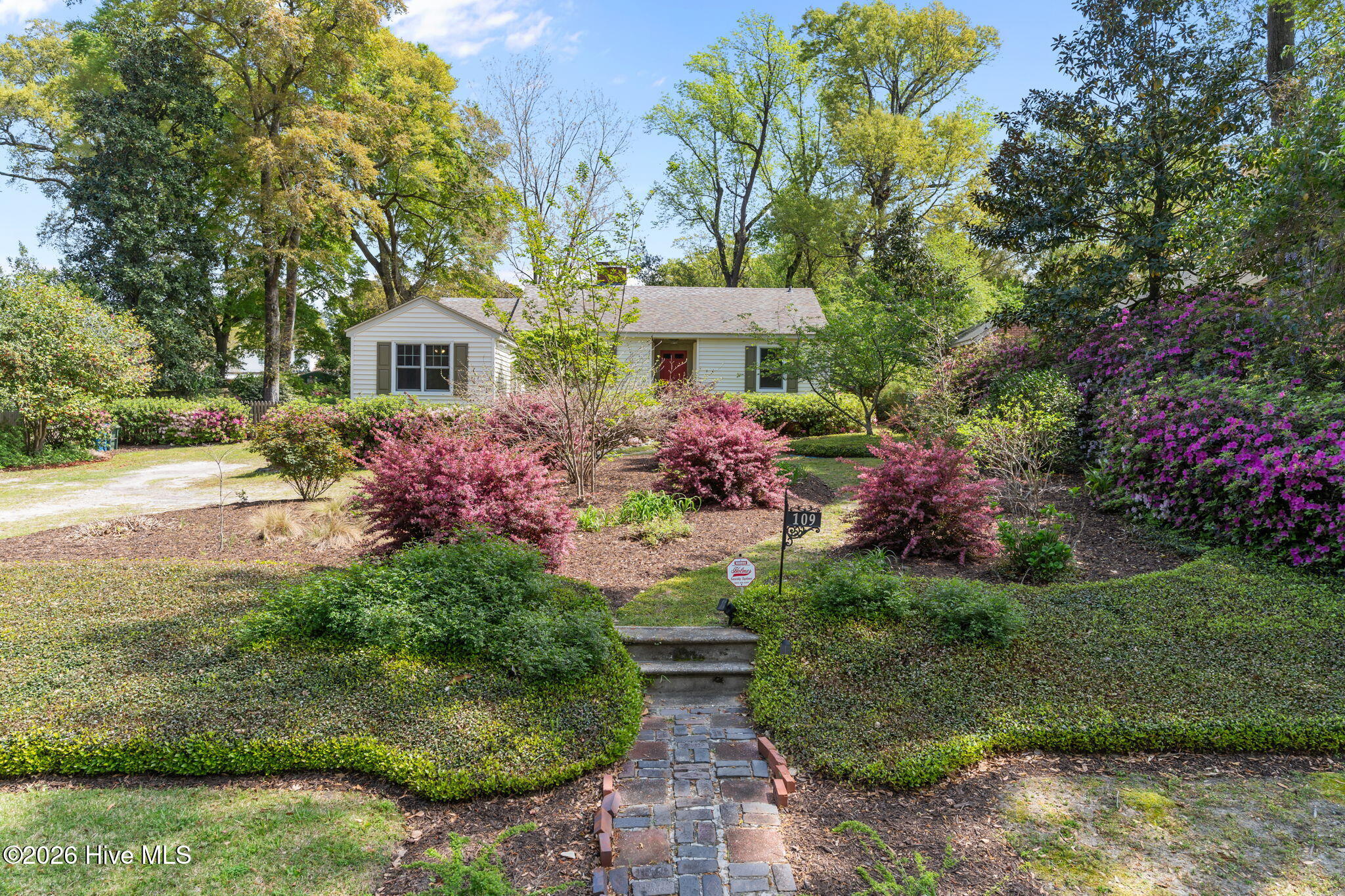 100565544 | Photo 44