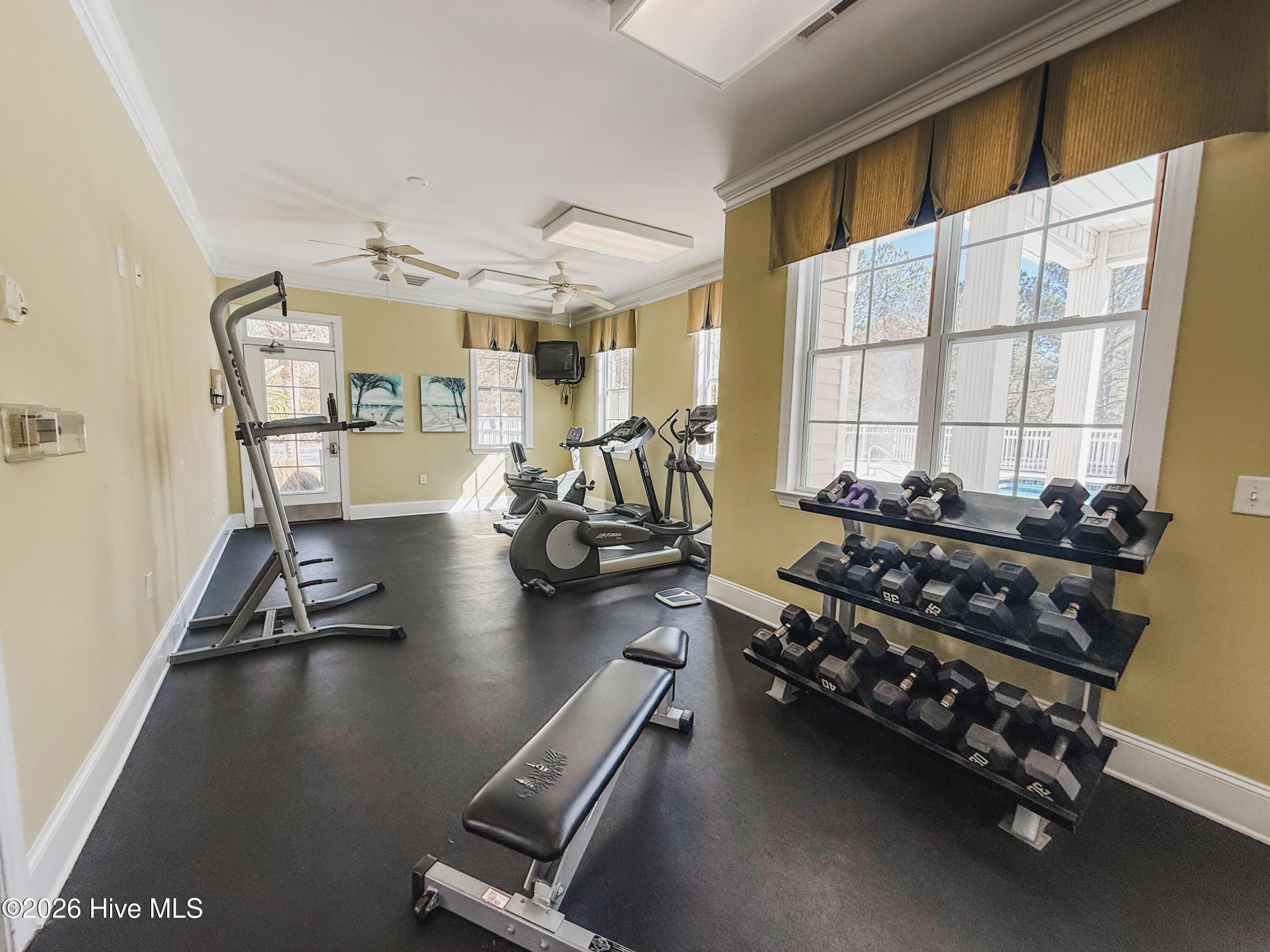 100554593 | Photo 41