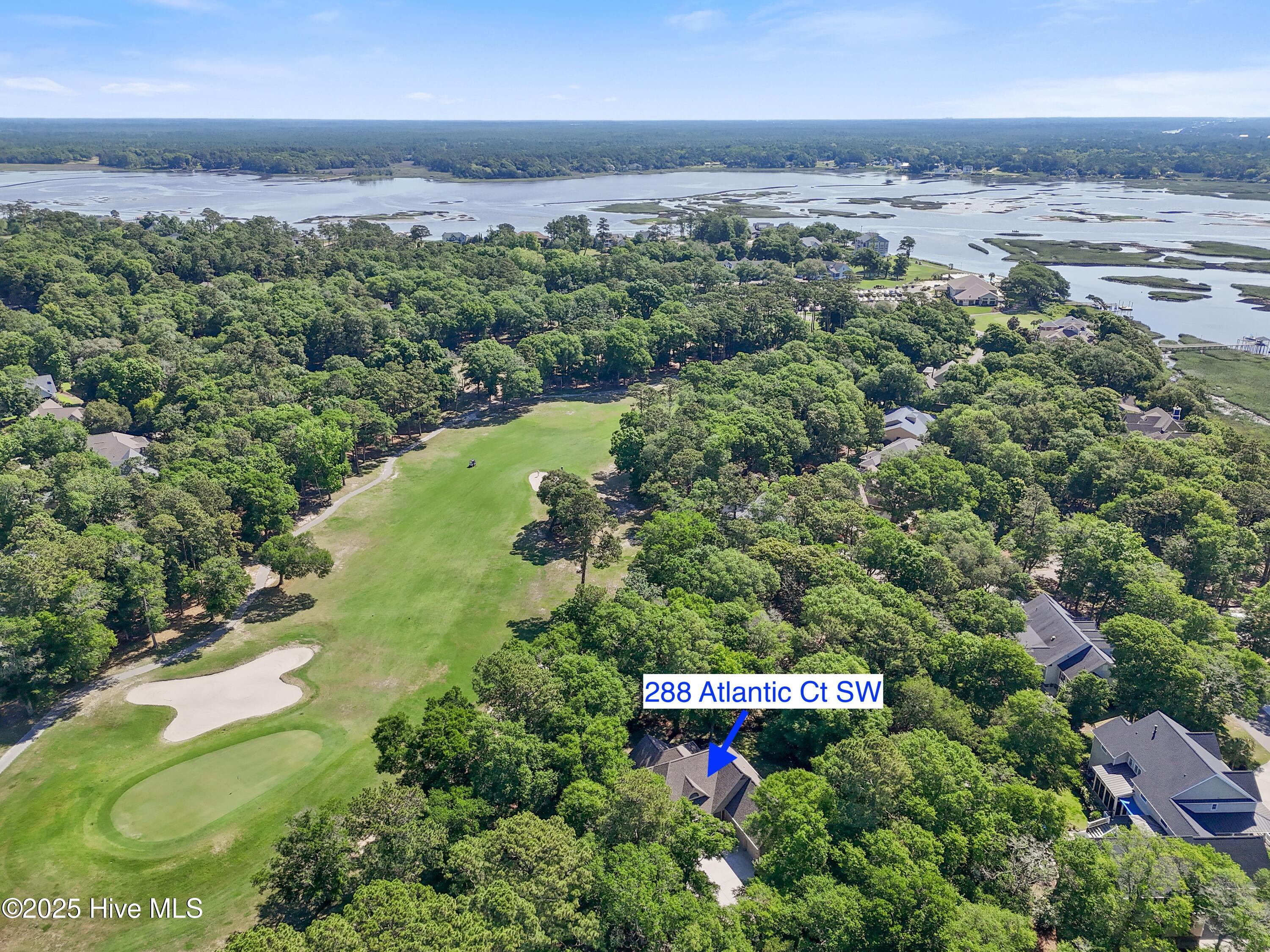 100509392 | Photo 53