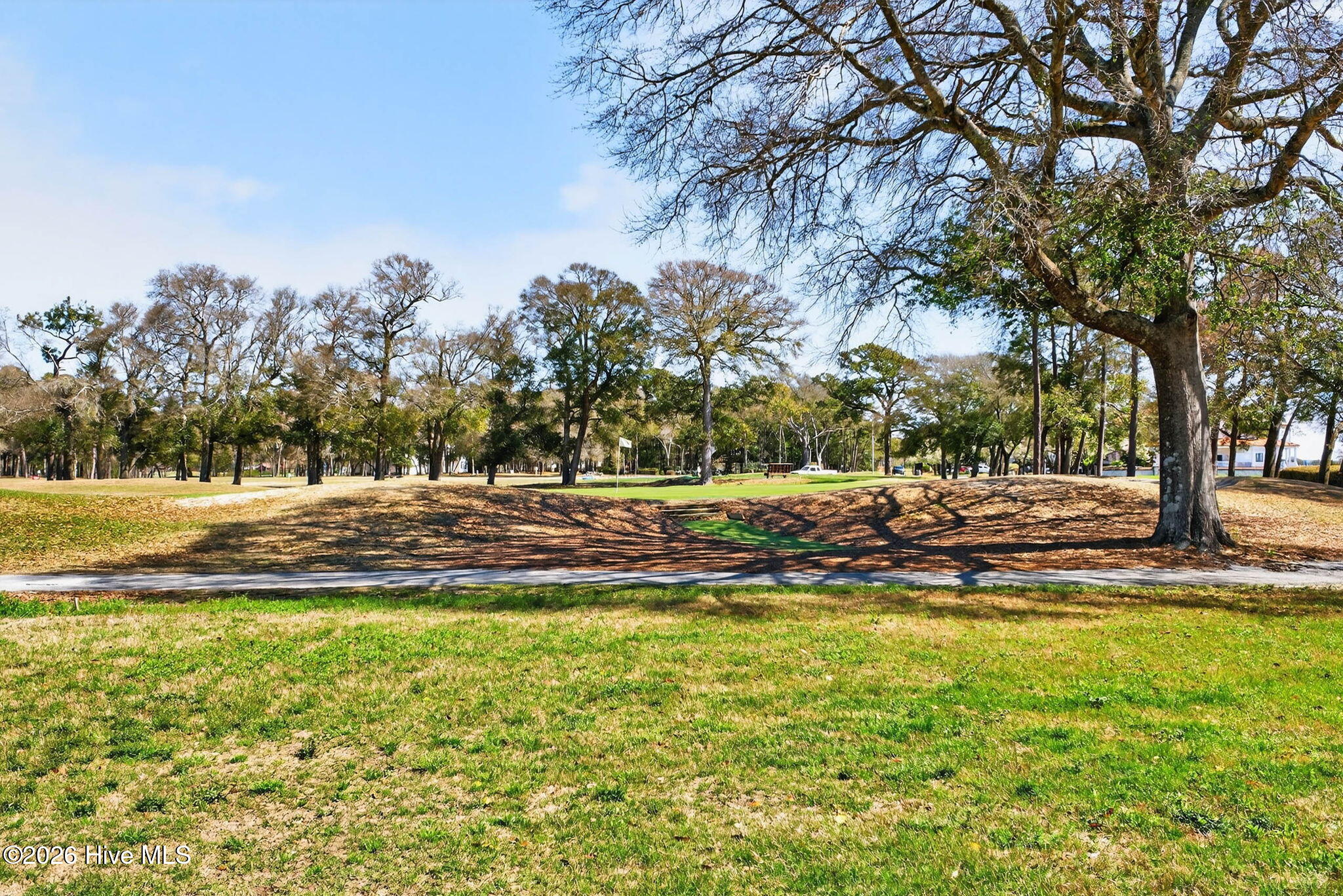 100561272 | Photo 58