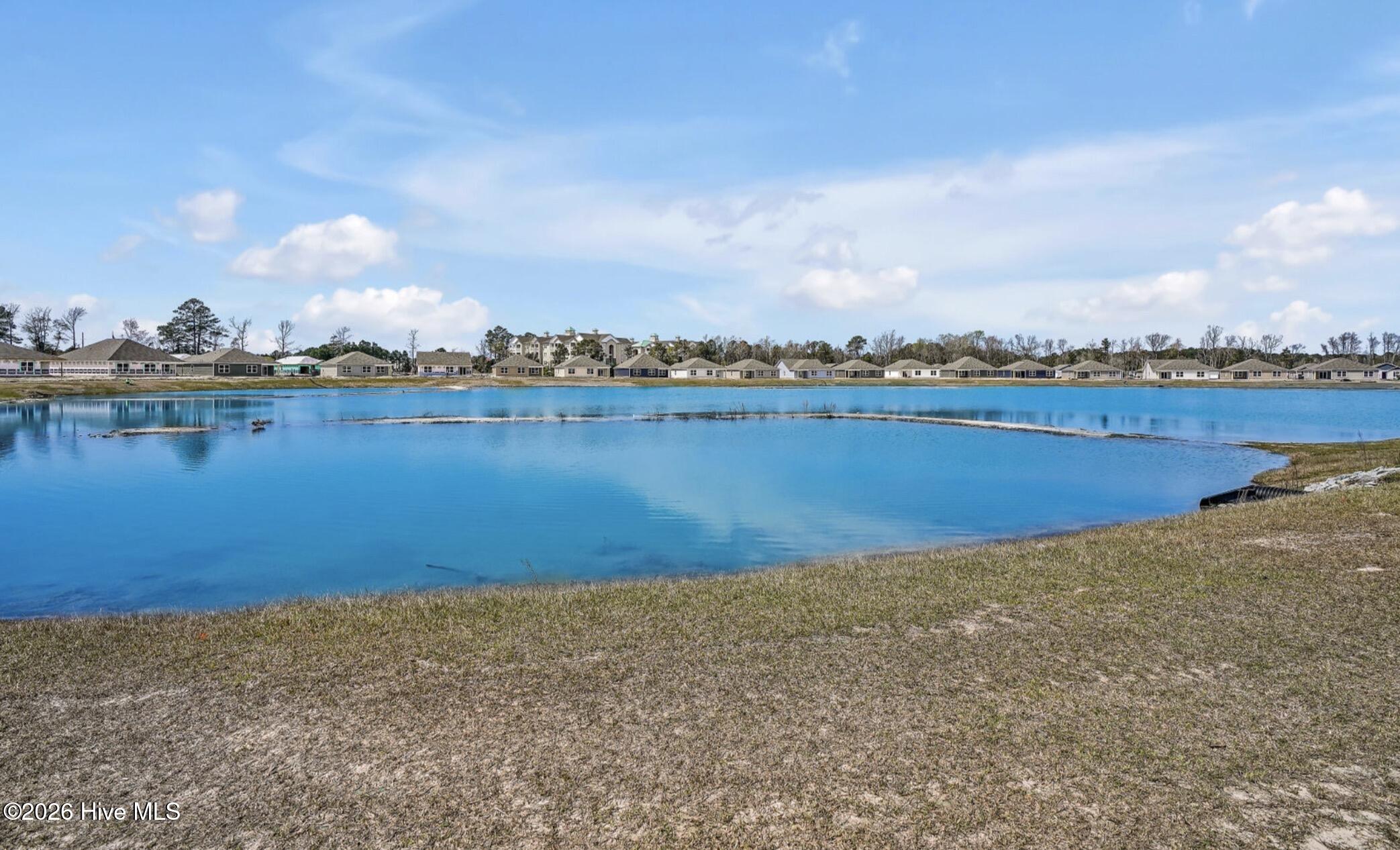 100566526 | Photo 41