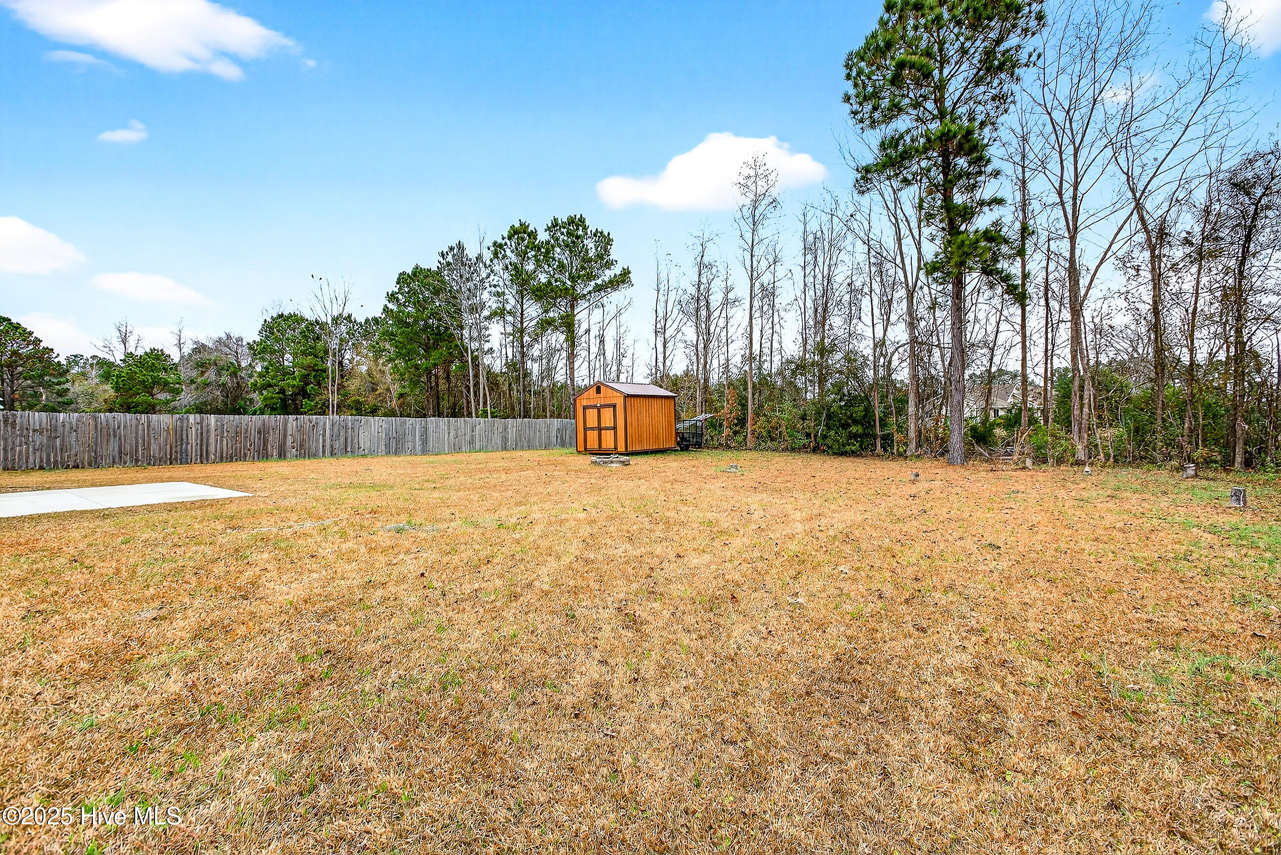 100544724 | Photo 30