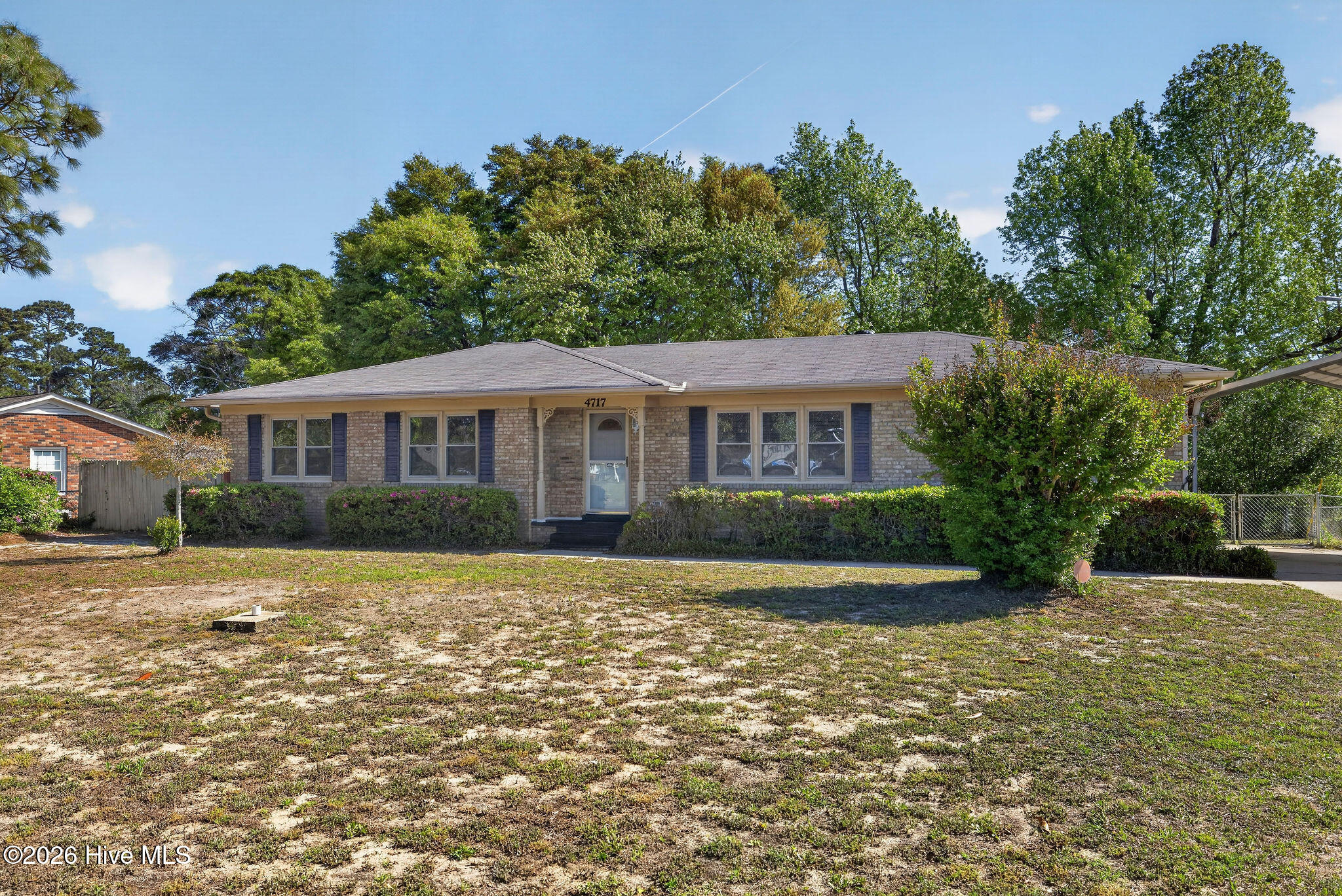 100566296 | Photo 36