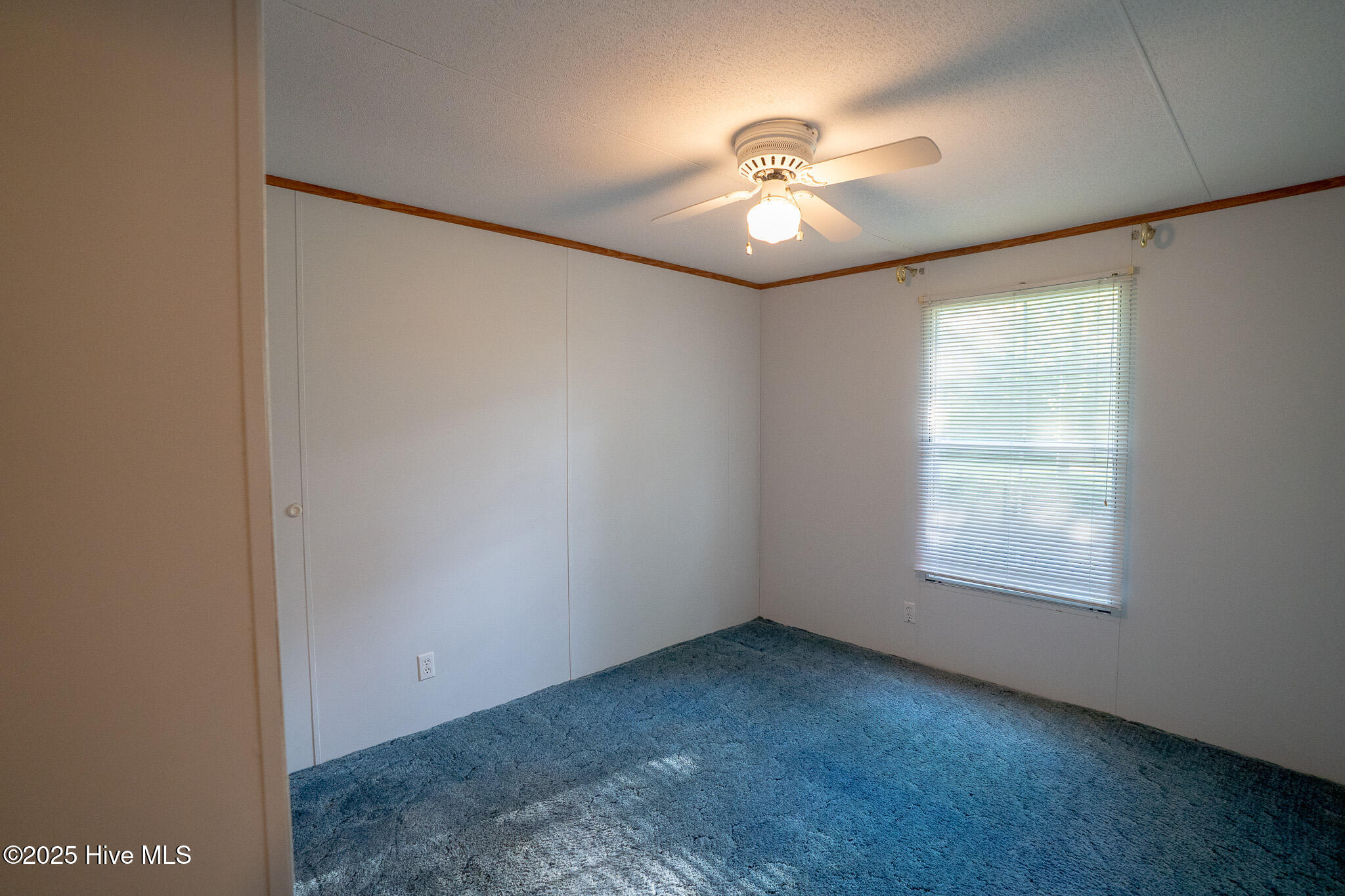 100513589 | Photo 16