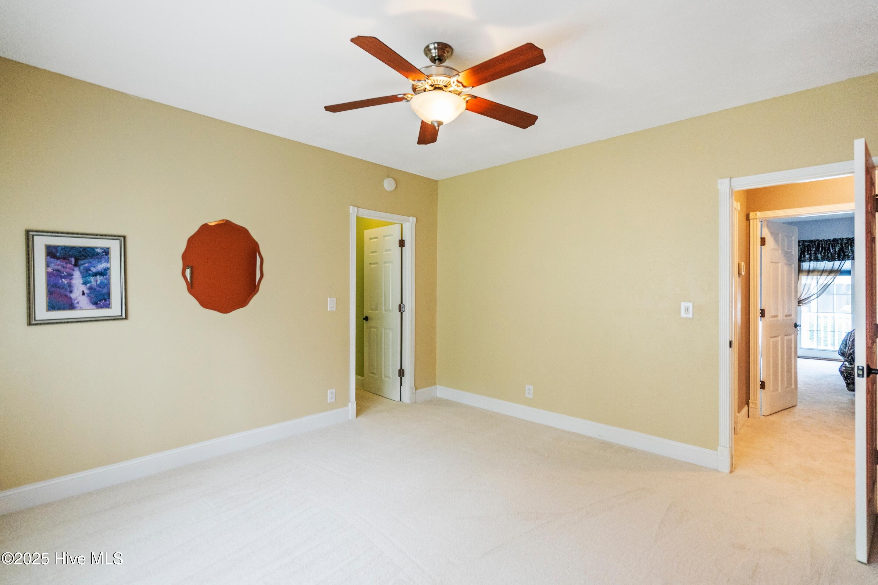 100503346 | Photo 43