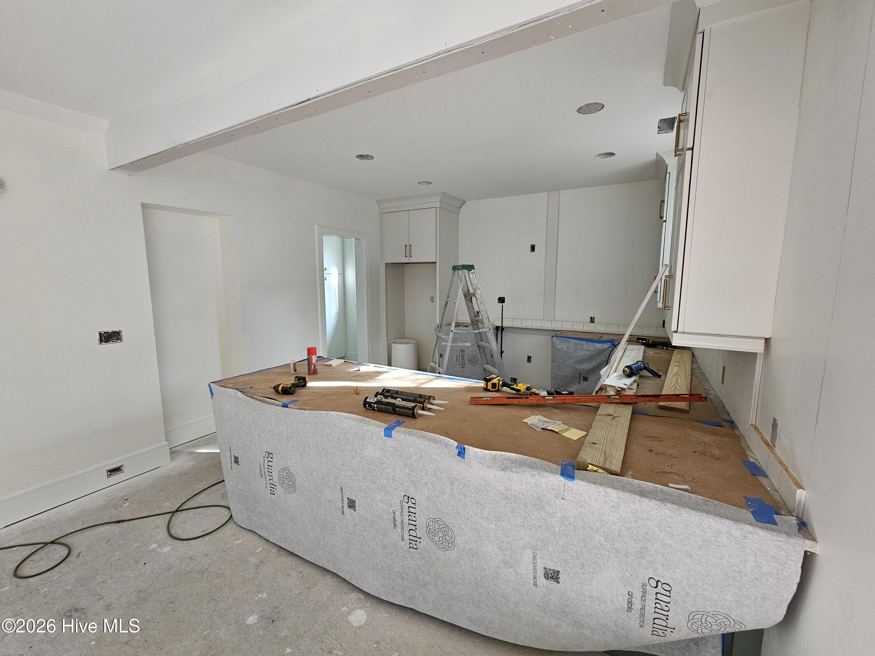 100527849 | Photo 15