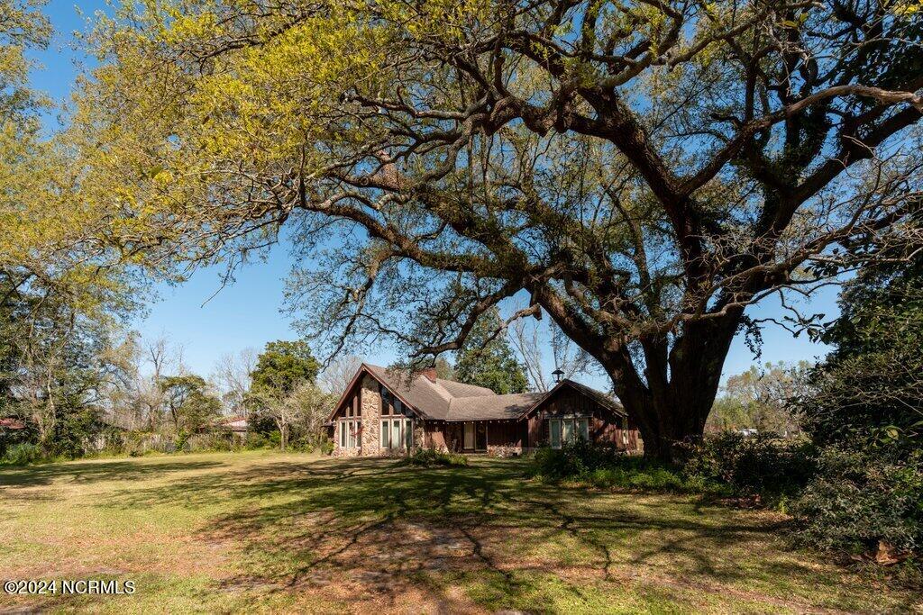 100516125 | Photo 16