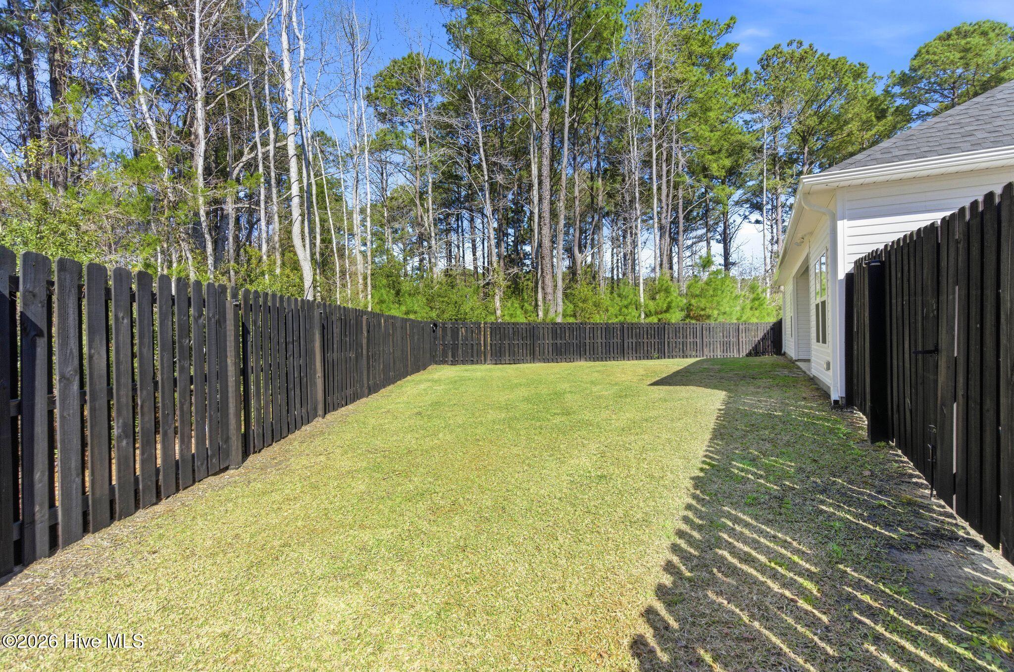 100563255 | Photo 41