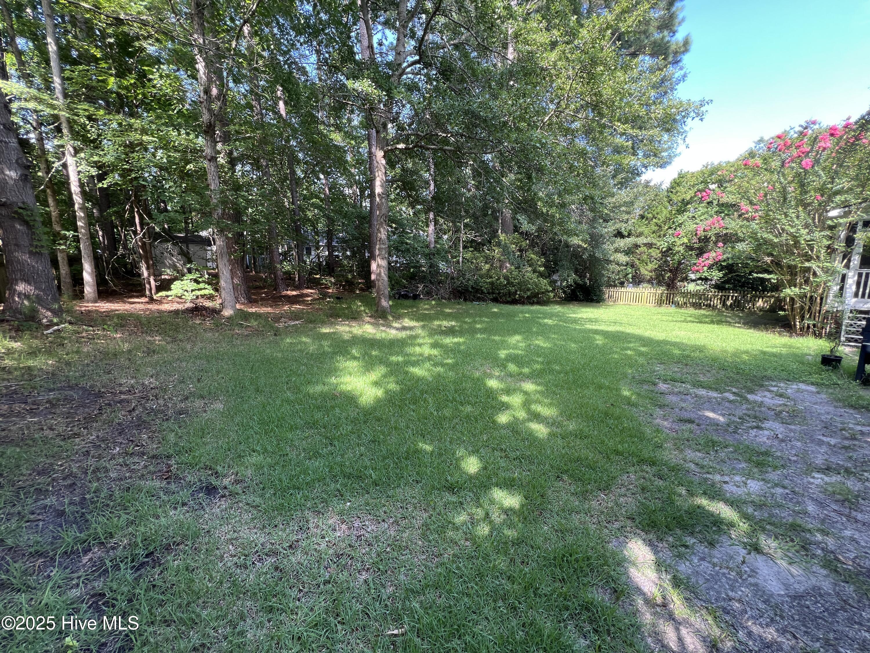 100522387 | Photo 19