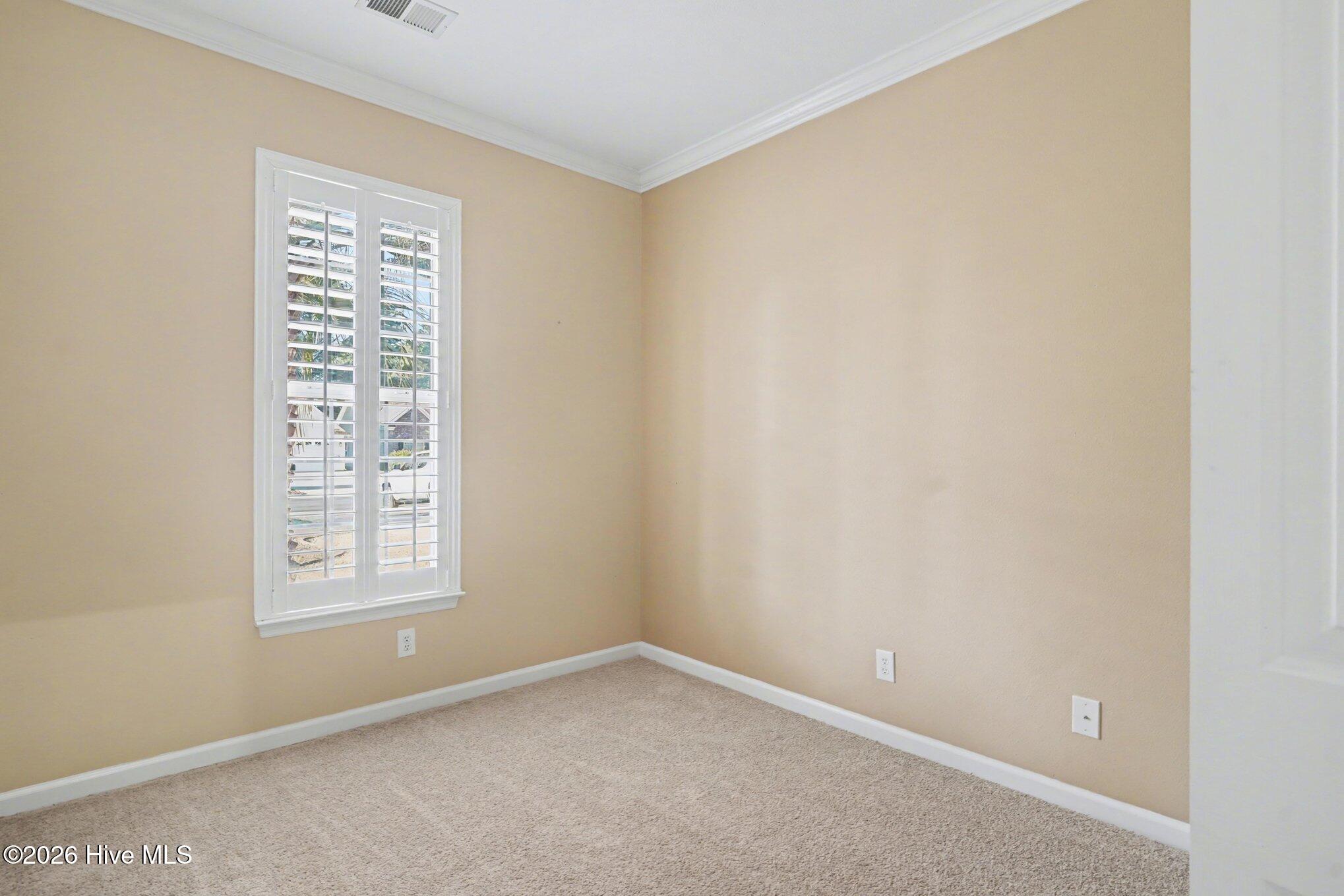 100560869 | Photo 16