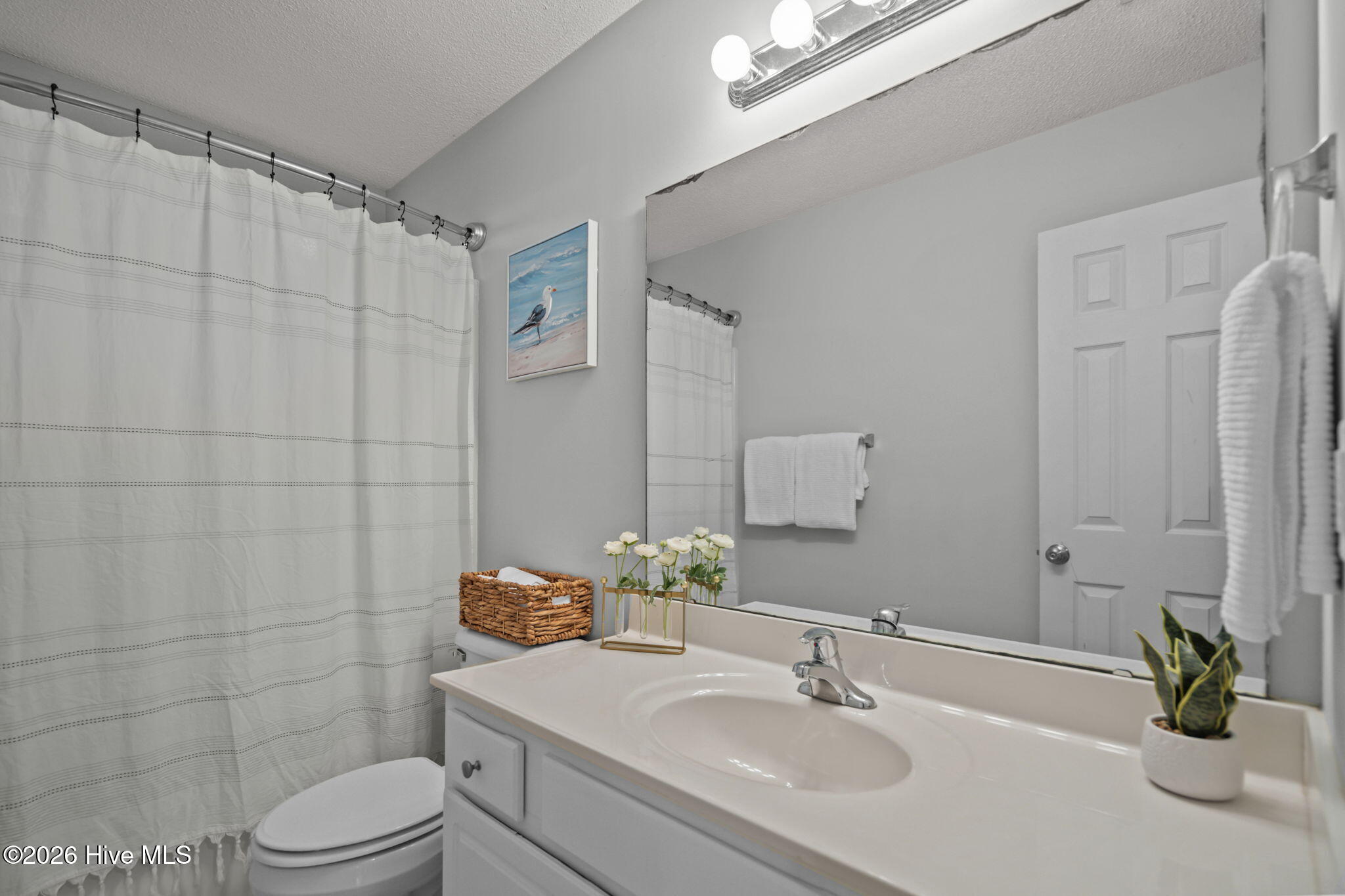 100558076 | Photo 33