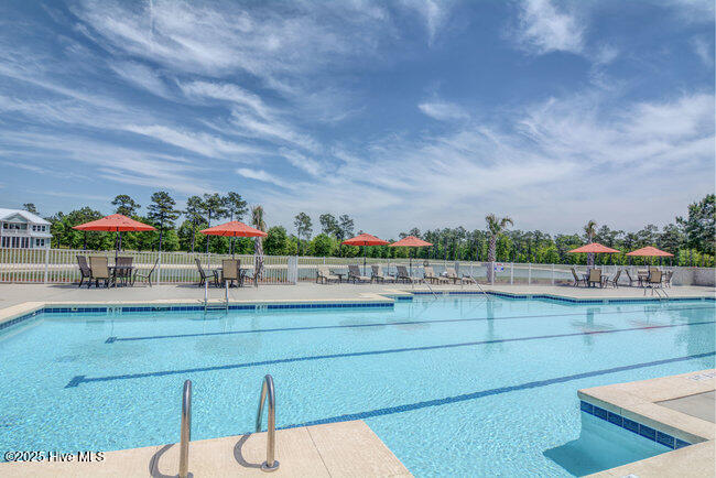 100528964 | Photo 50