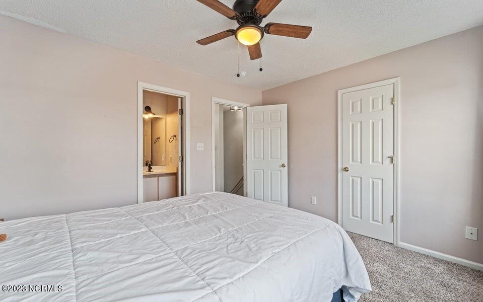 100556825 | Photo 29