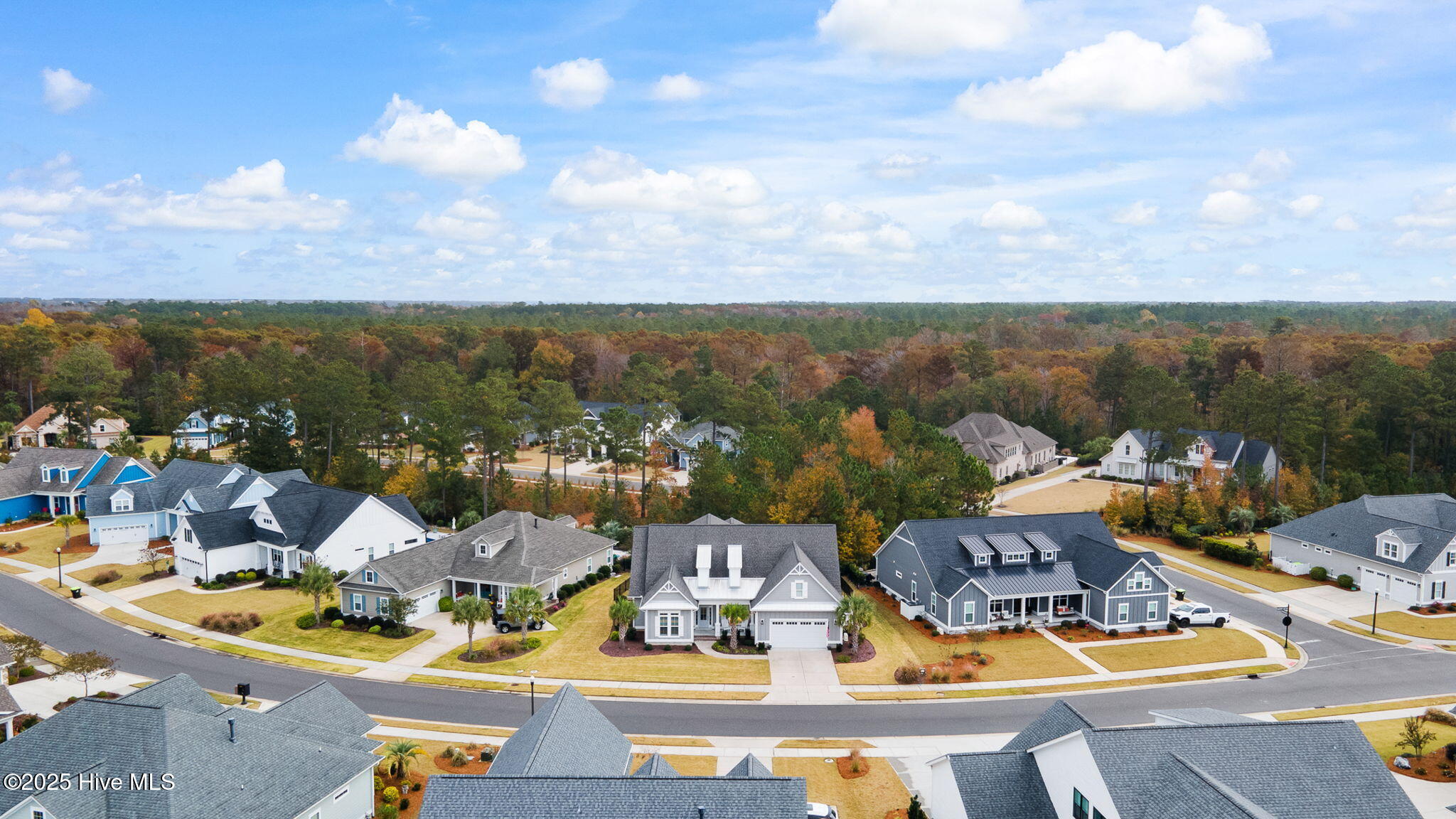 100541273 | Photo 47