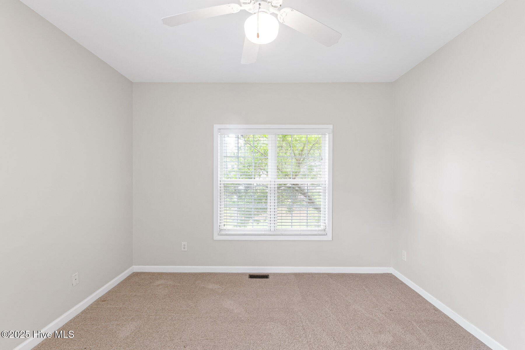 100519162 | Photo 21