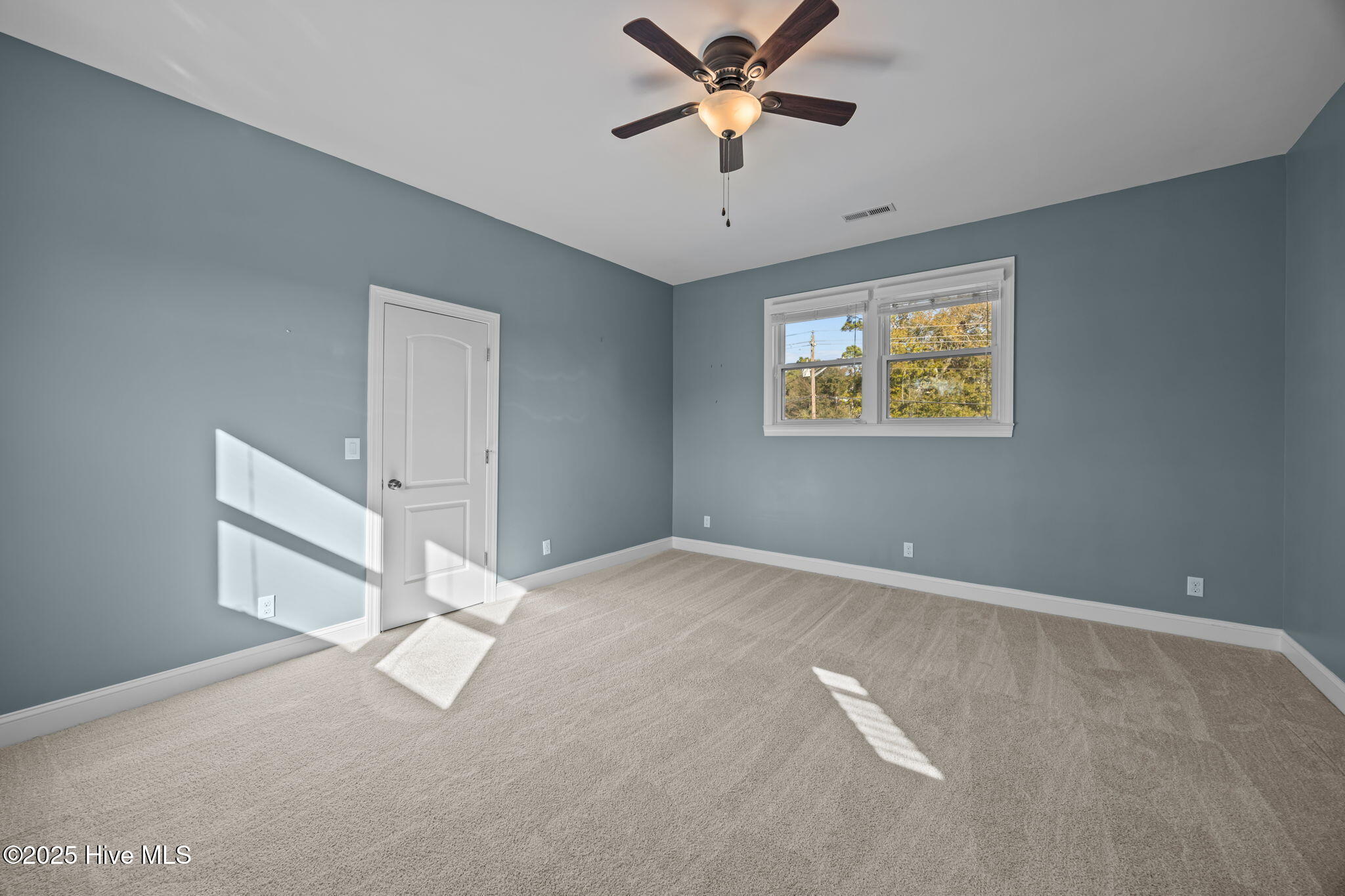 100546407 | Photo 29