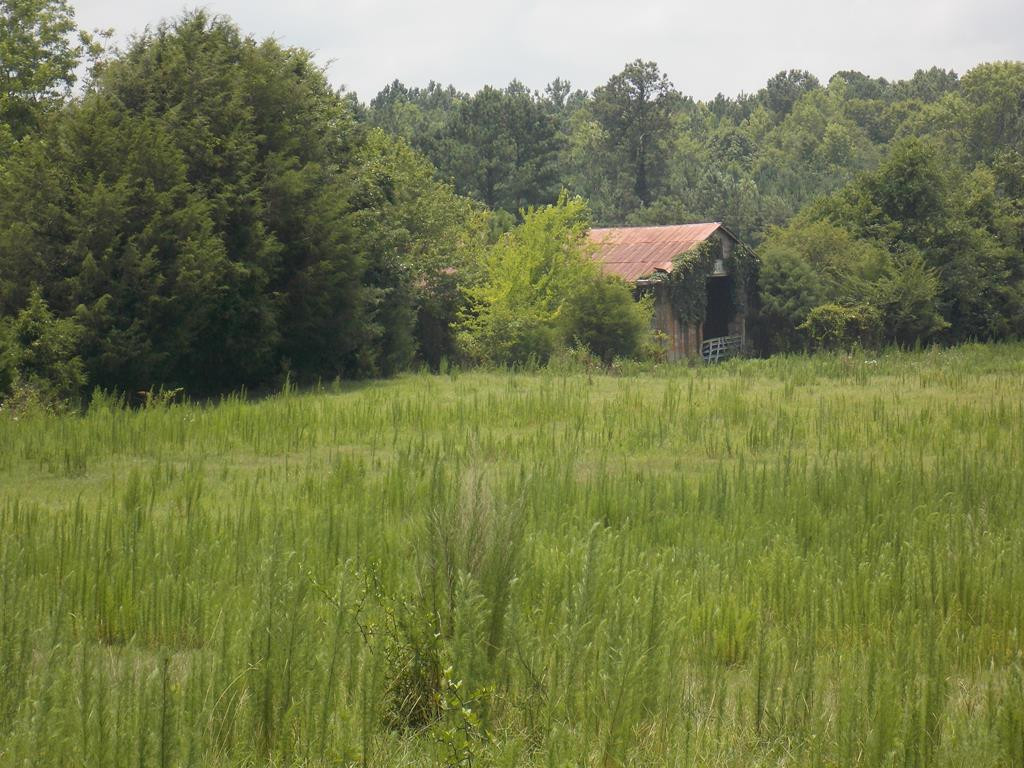 1440 Lincolnton Highway, Washington, GA 30673 Listing Photo  1