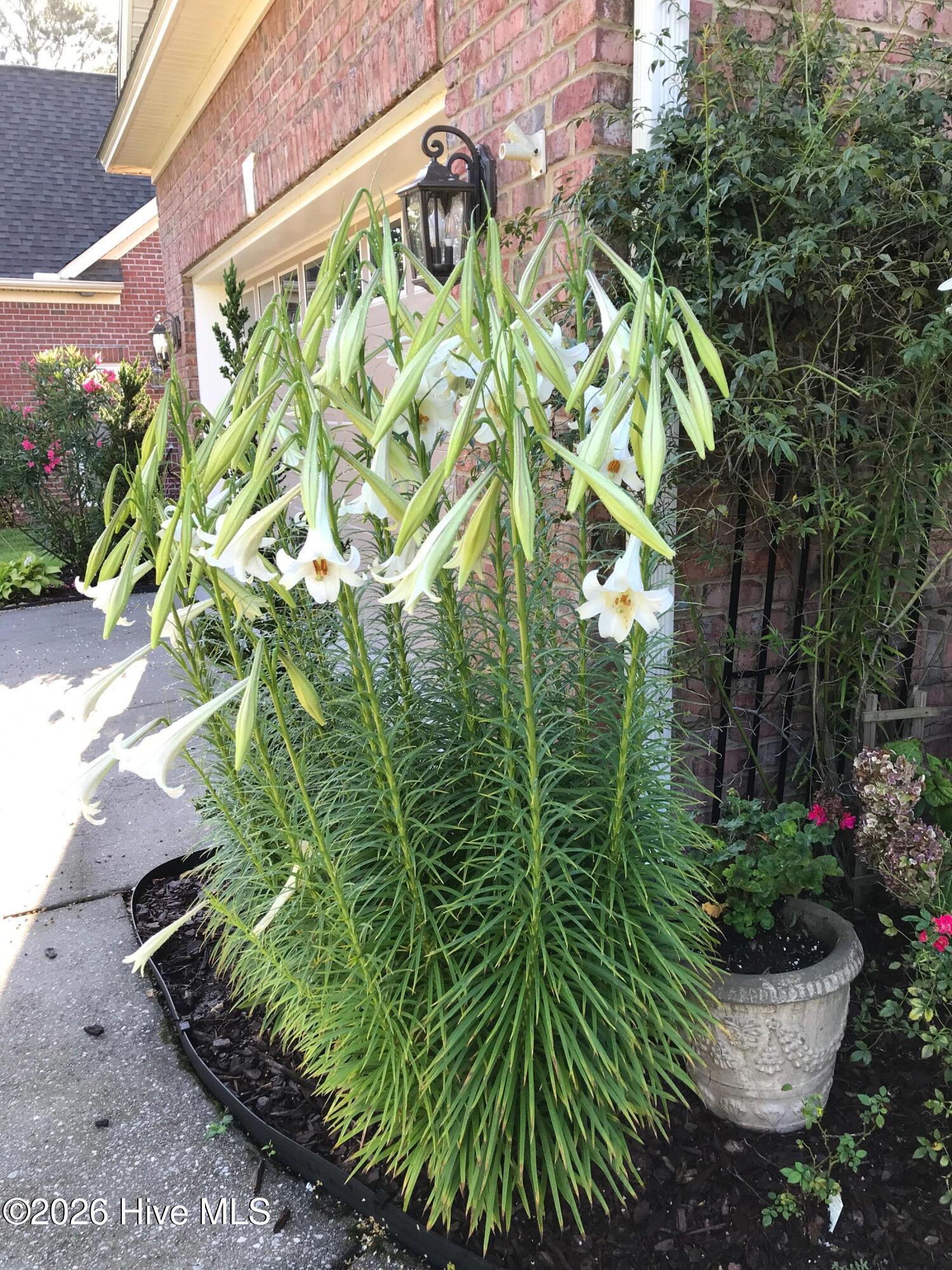 100553841 | Photo 63