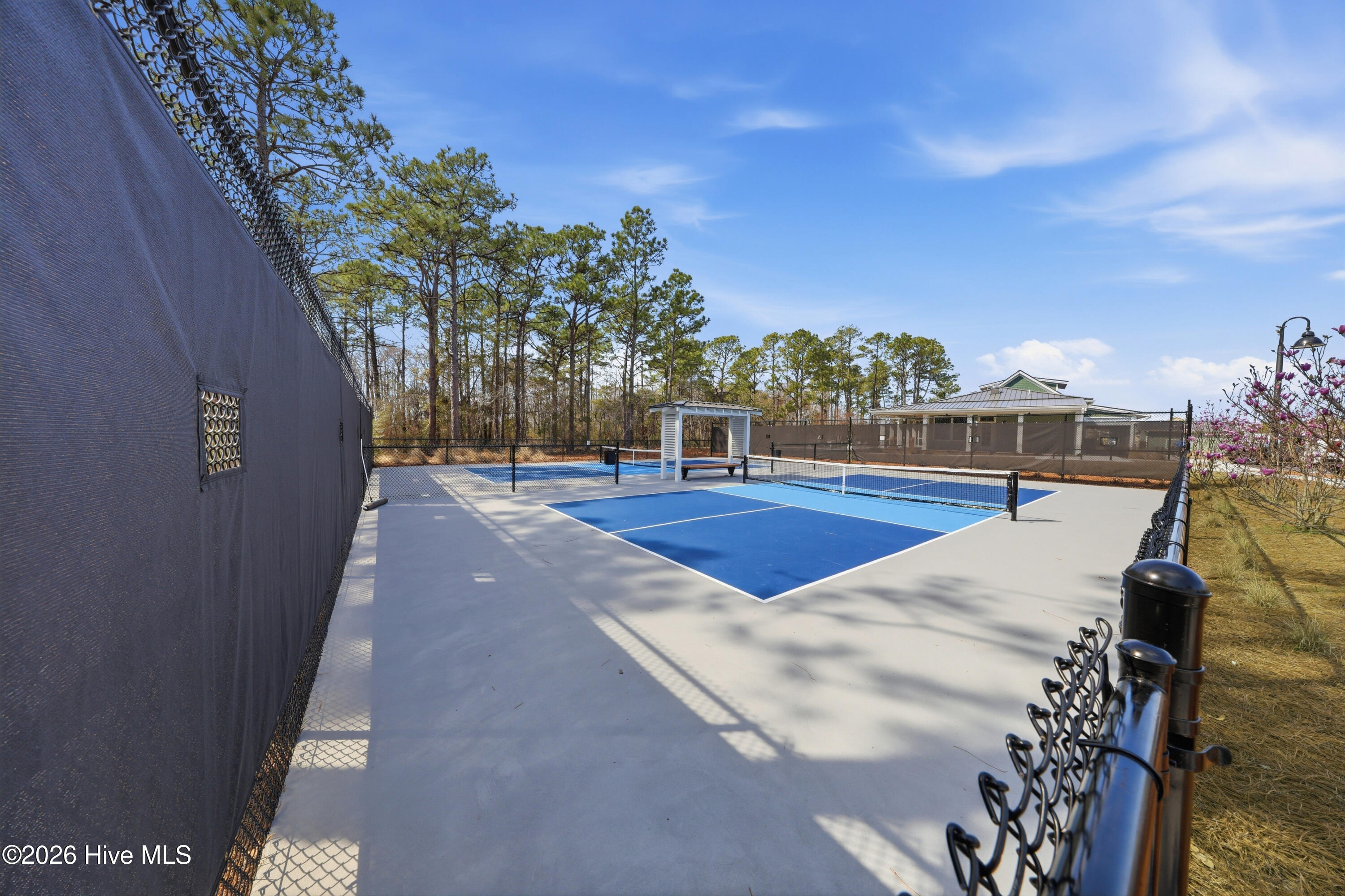 100558751 | Photo 73