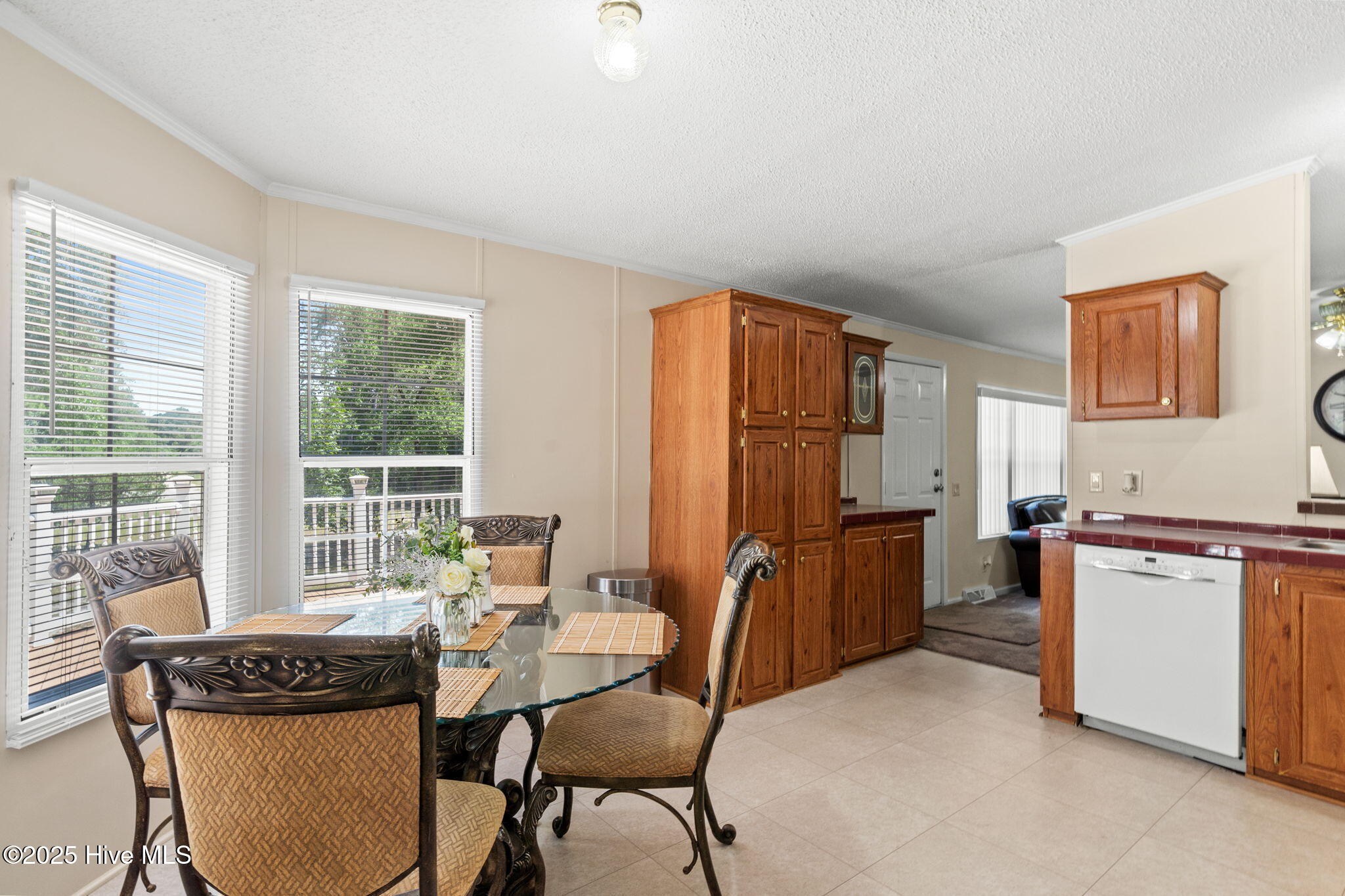 100515279 | Photo 25