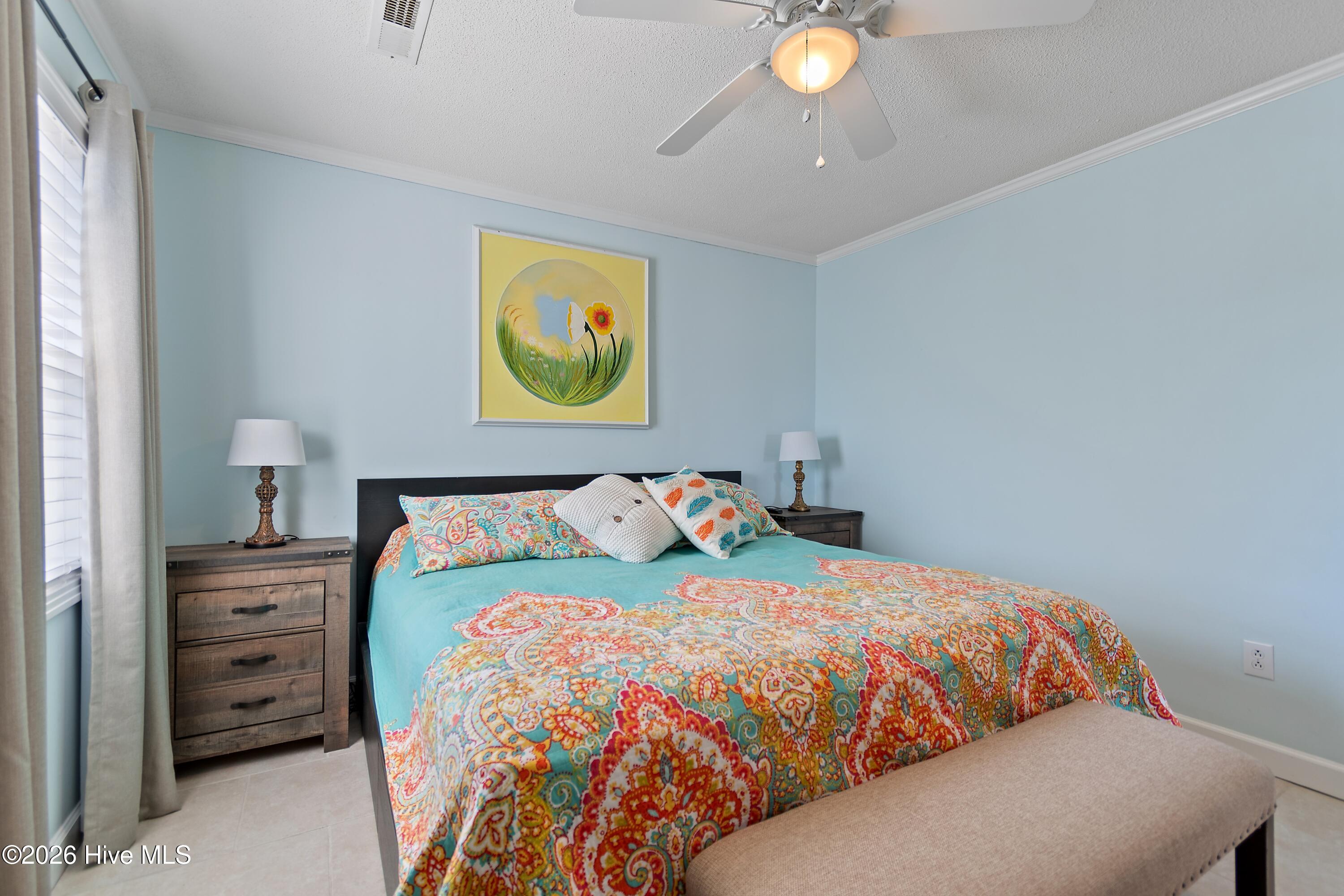 100555646 | Photo 17