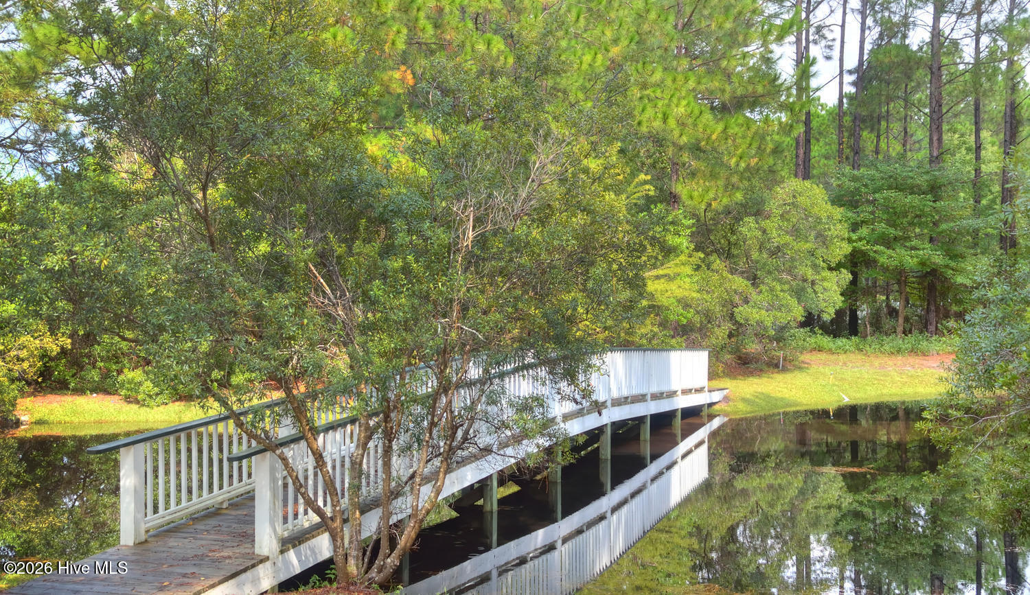 100556413 | Photo 56