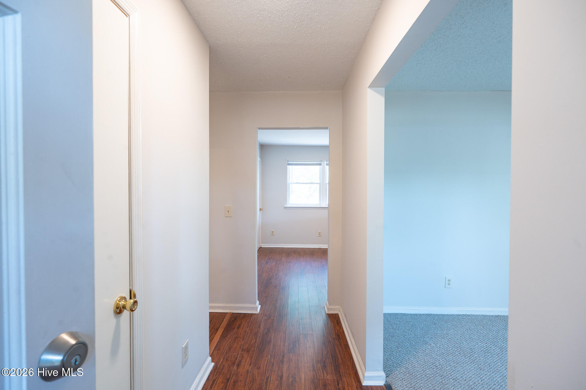 100567624 | Photo 28