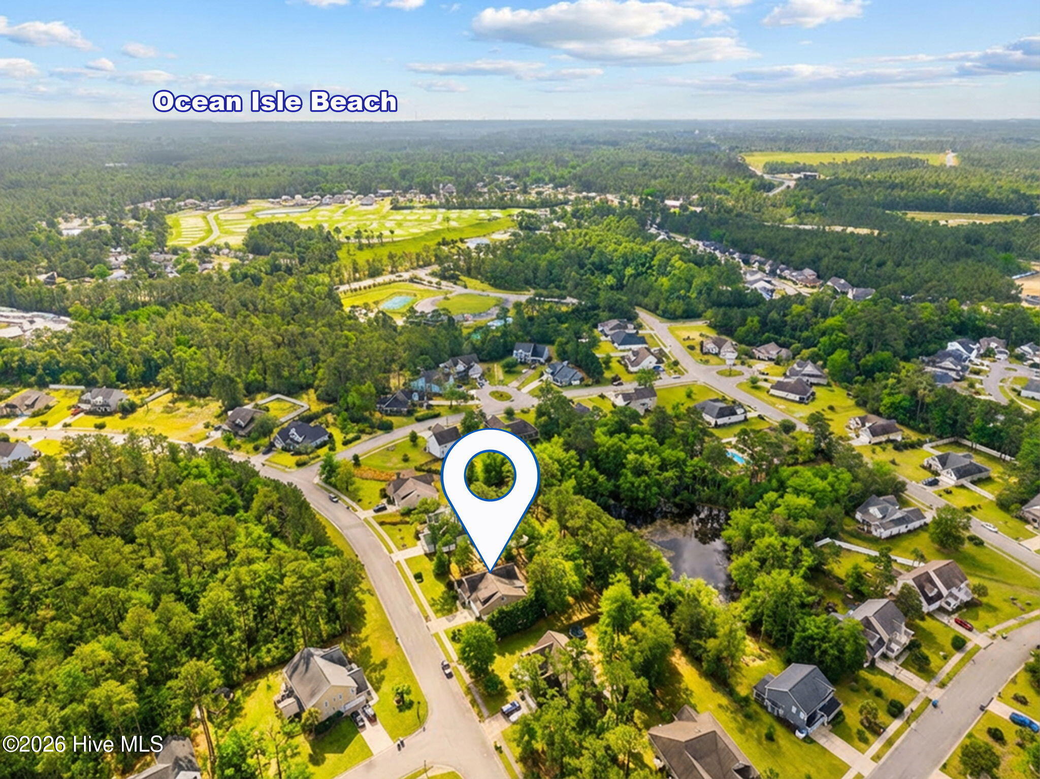 100558645 | Photo 43