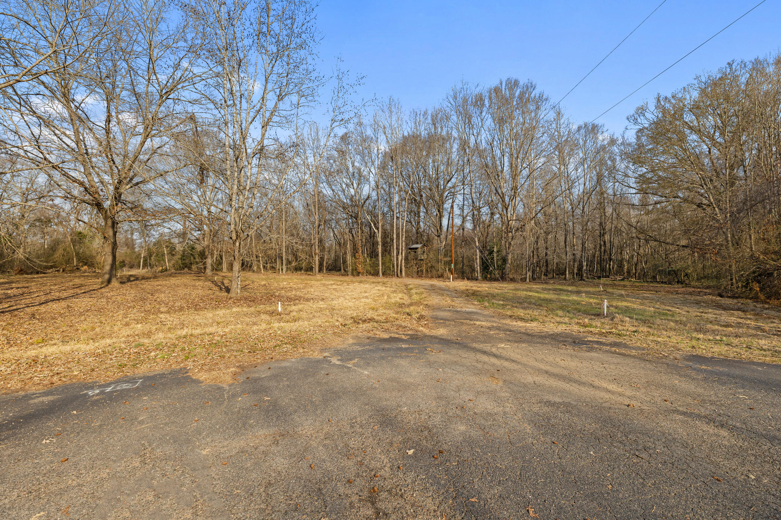 2026-02-09_2281_riverside_plantation_rd-