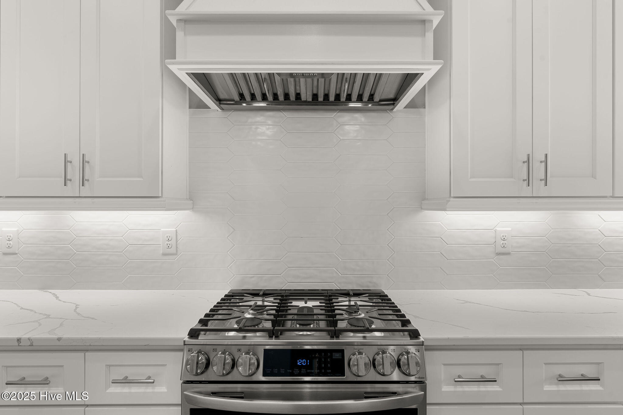 100527939 | Photo 20