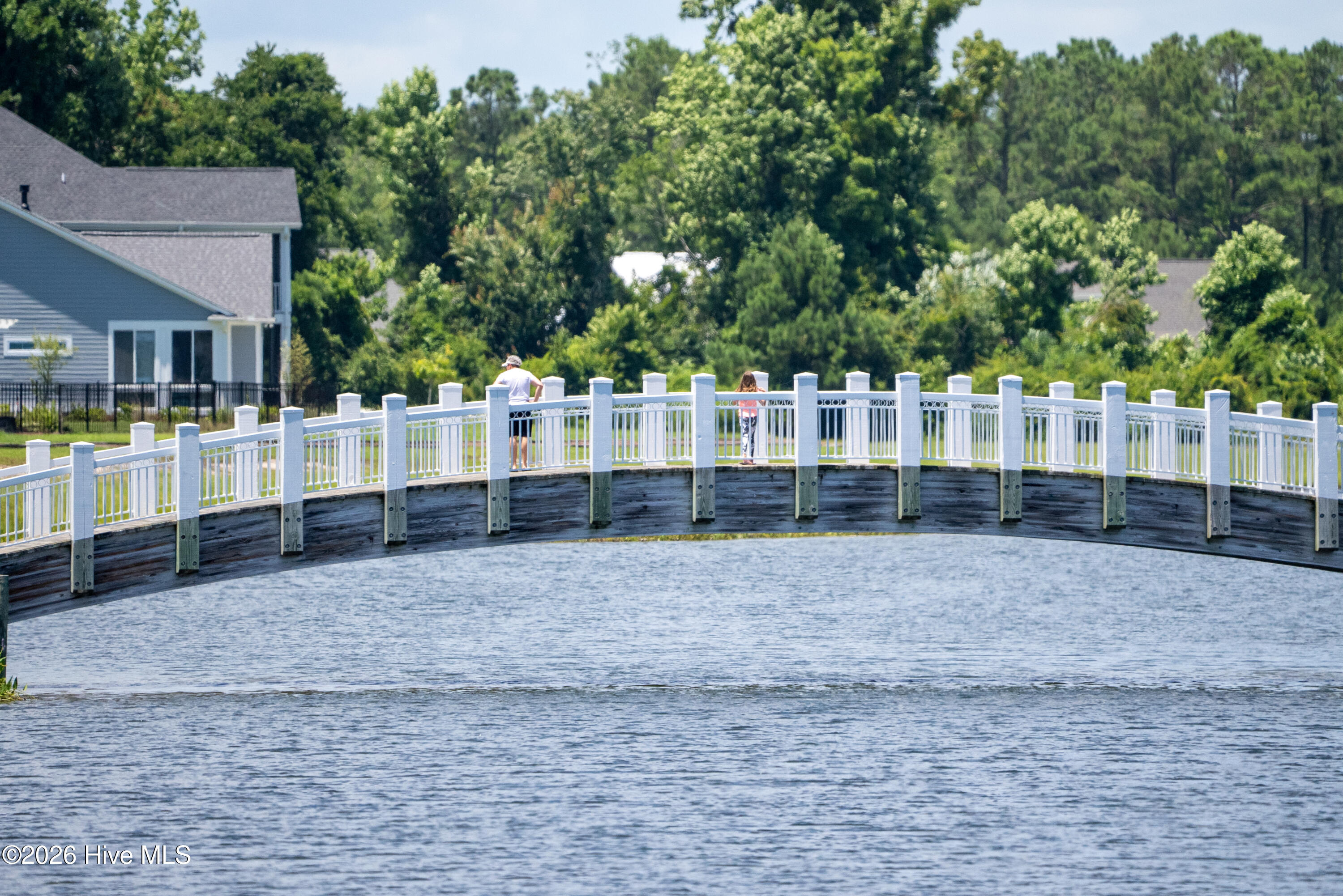 100564913 | Photo 62