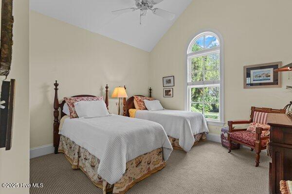 100534265 | Photo 23