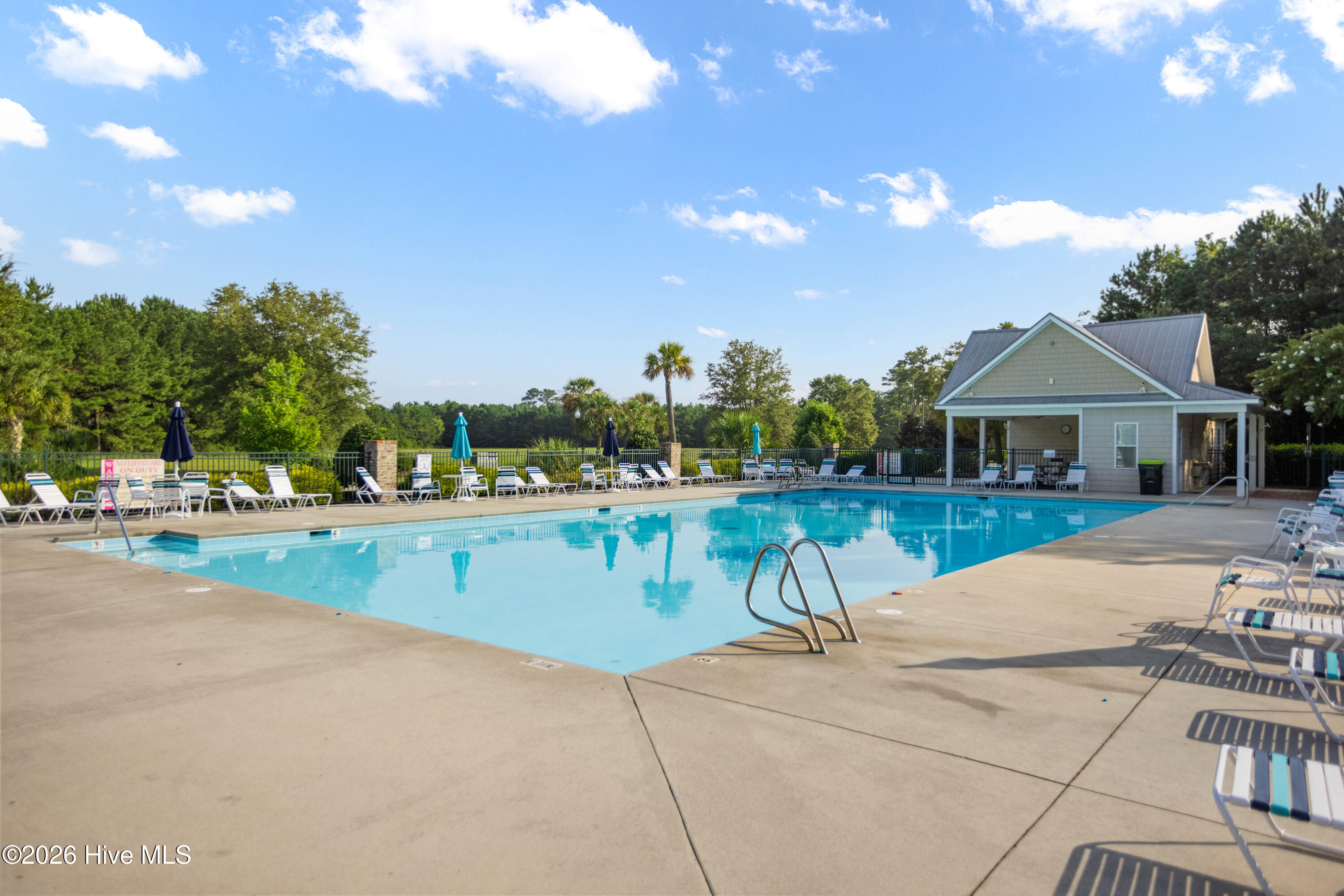 100554021 | Photo 53