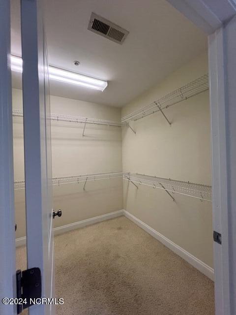 100537337 | Photo 39