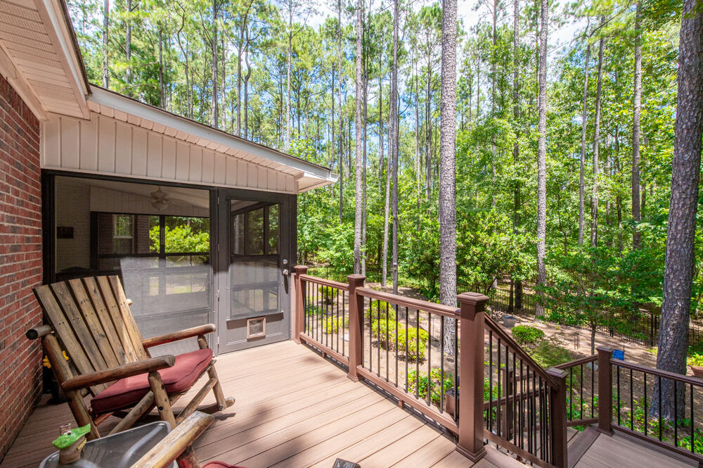 Back Porch!