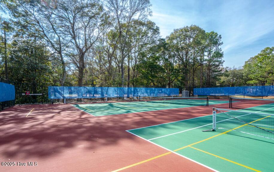 100536080 | Photo 43