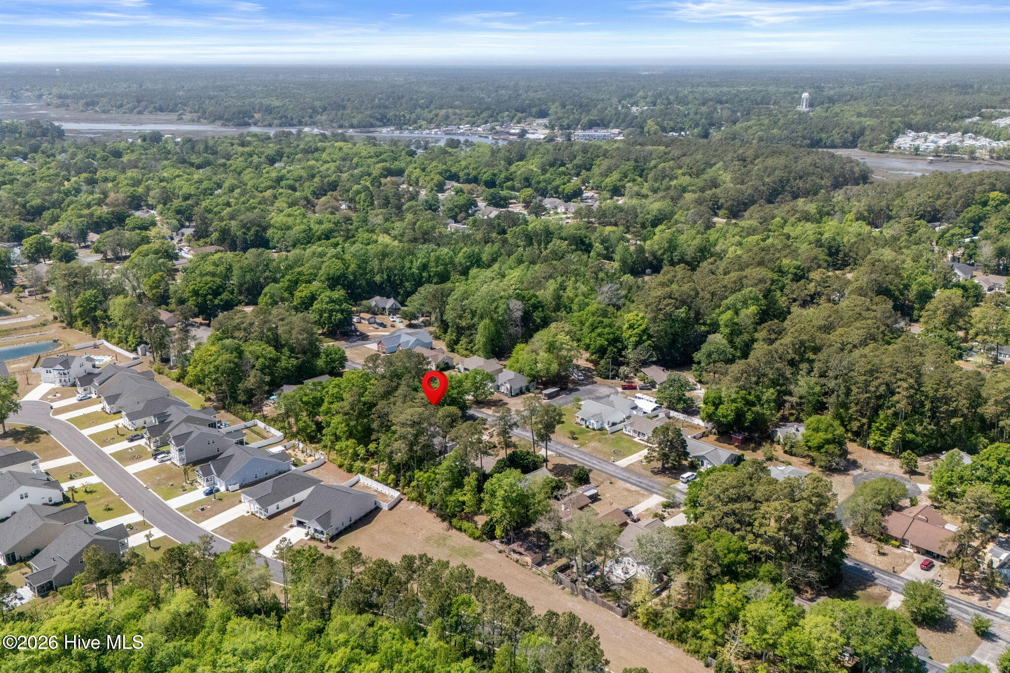 100568213 | Photo 47