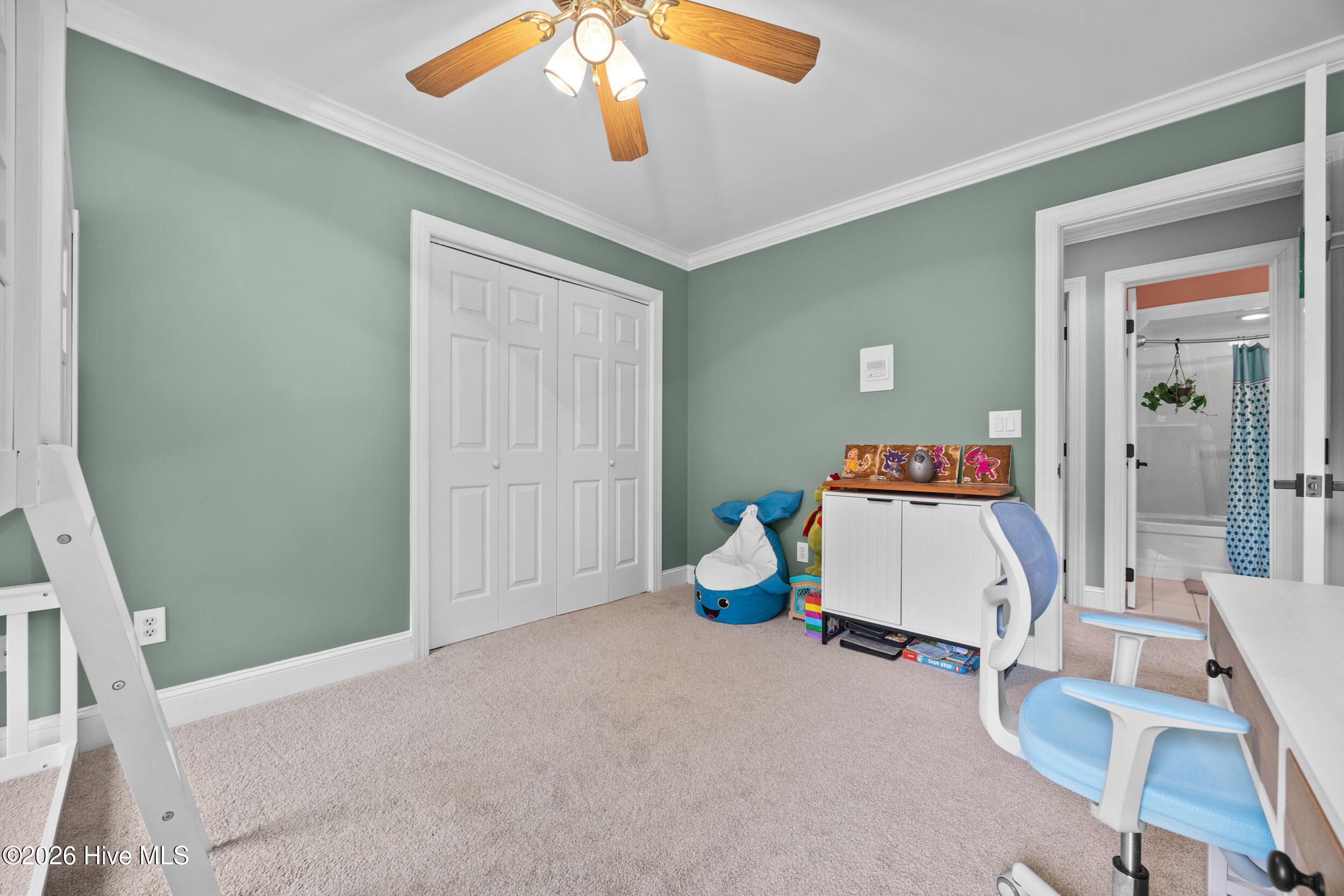 100555856 | Photo 30