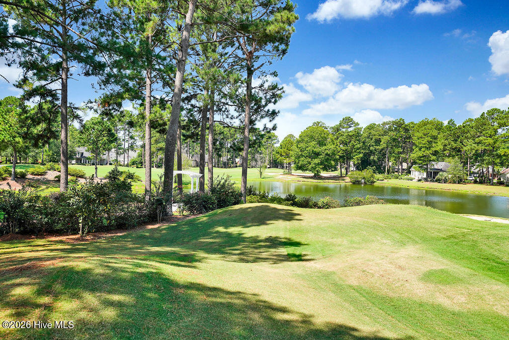 100567236 | Photo 26