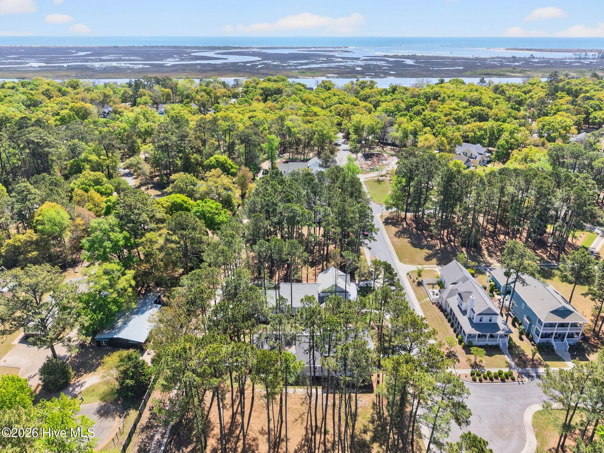 100531409 | Photo 31