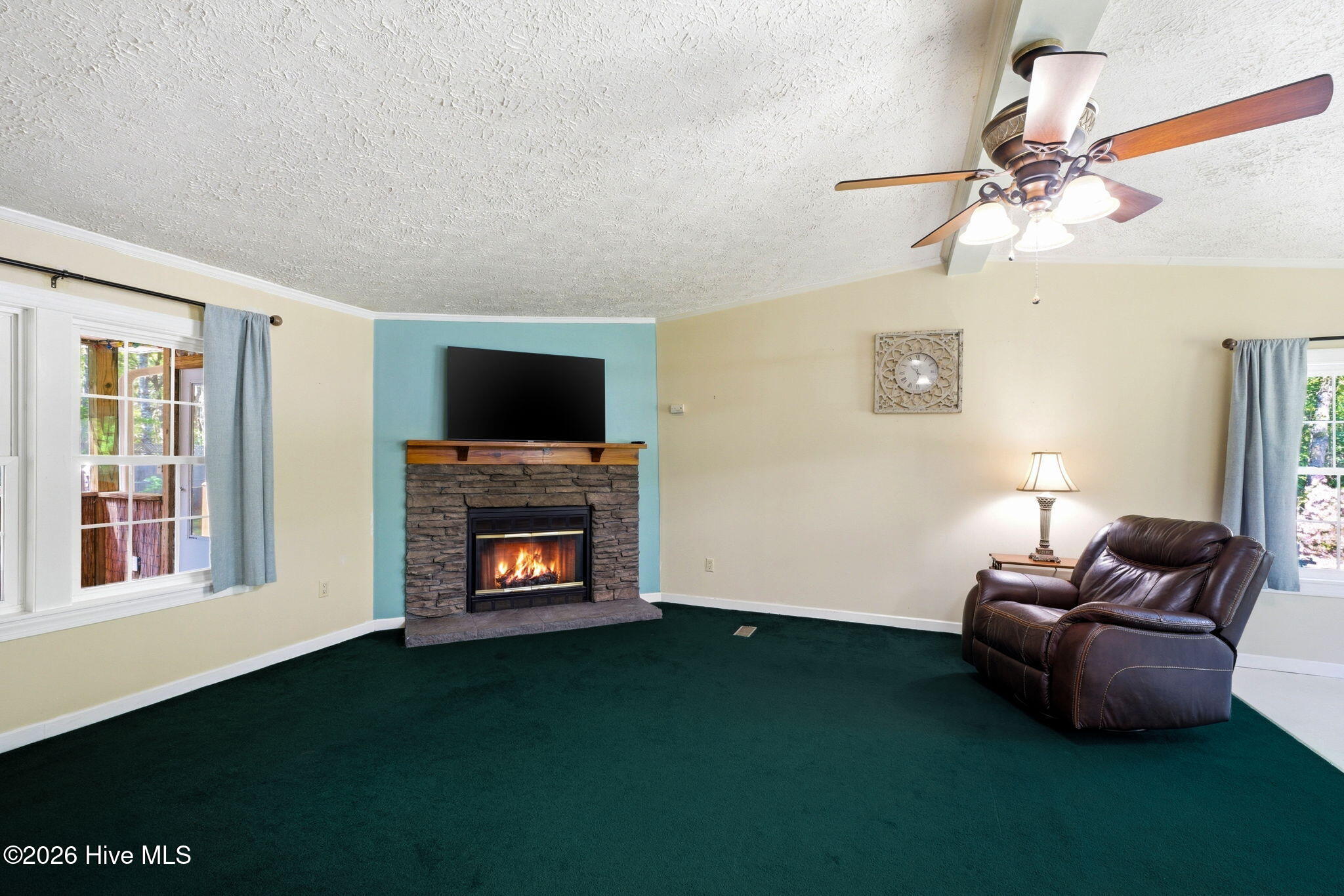 100568157 | Photo 24