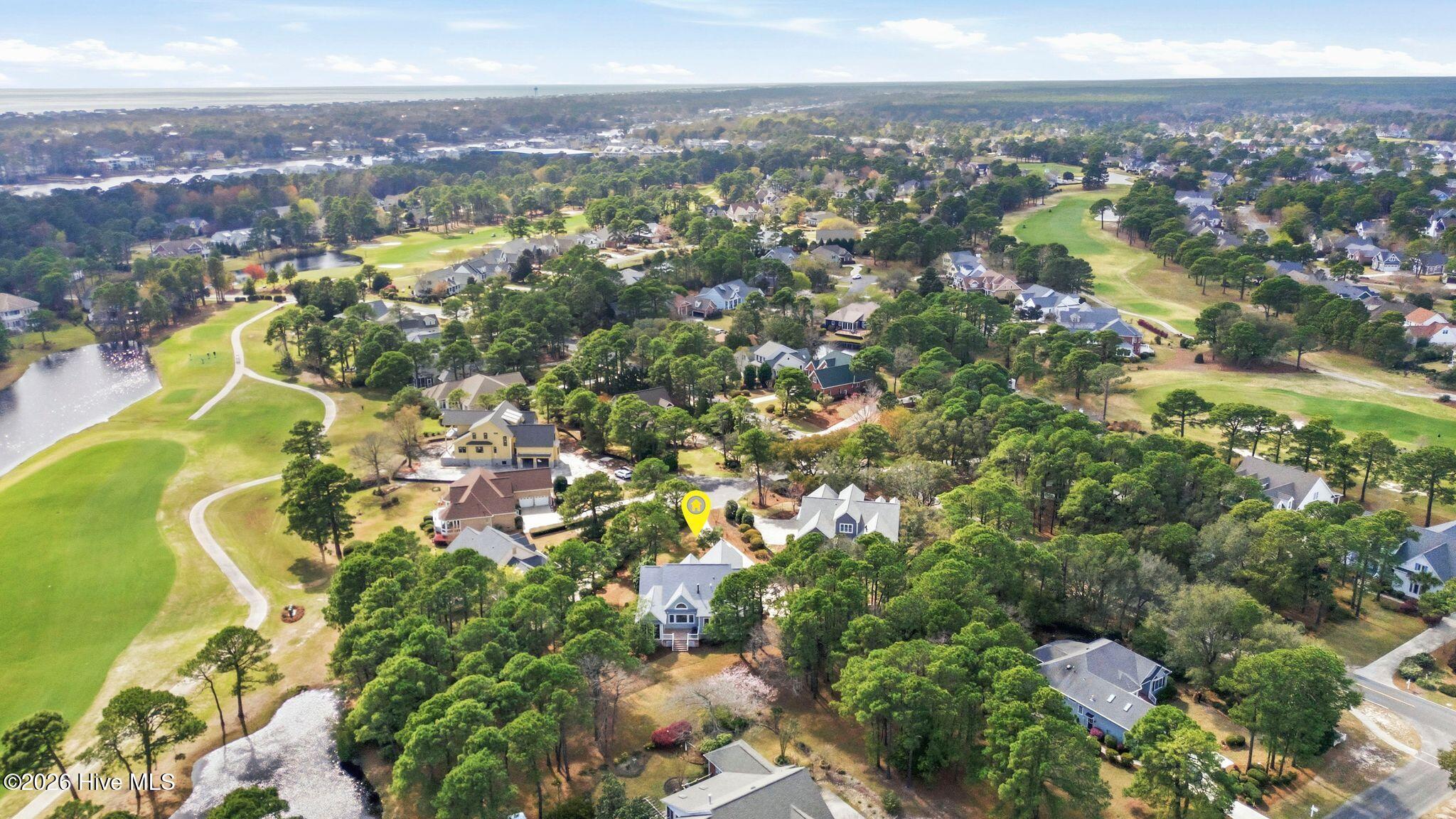 100564231 | Photo 83