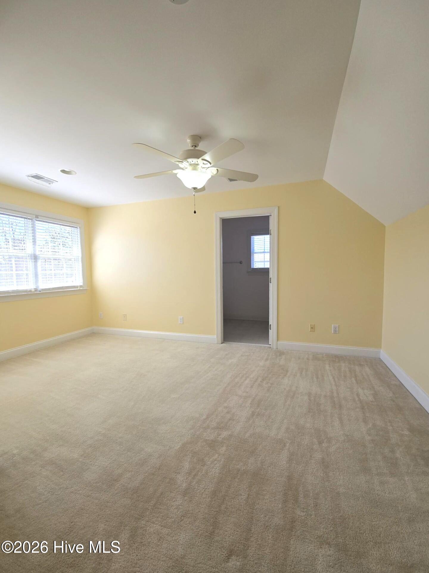 100526978 | Photo 19