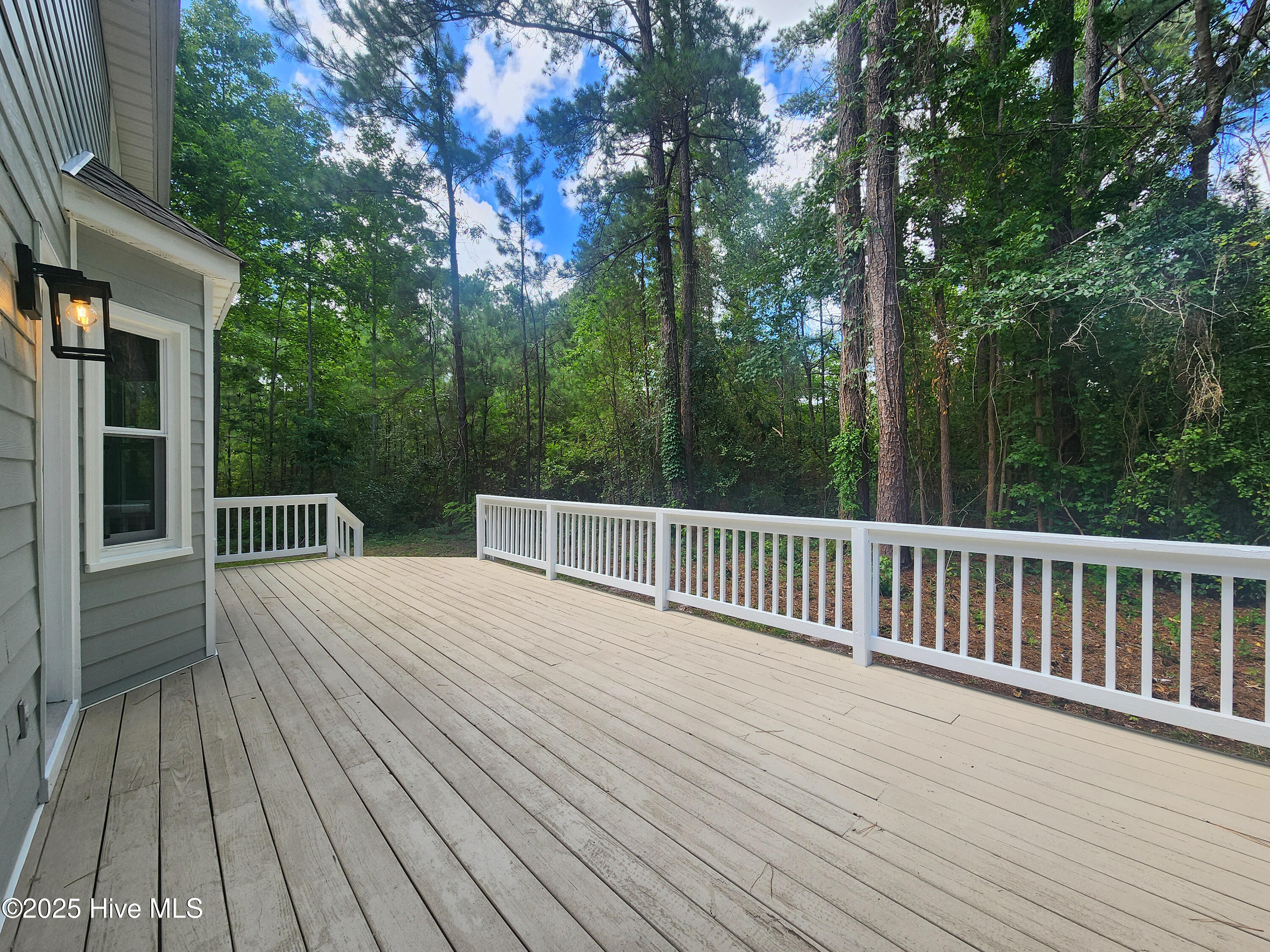 100517489 | Photo 43